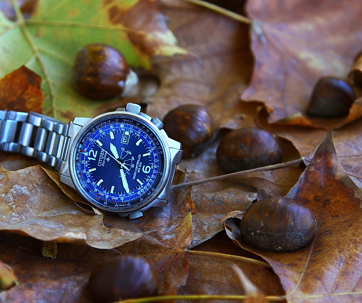 Naziv: IMG_1363.JPG, pregleda: 1207, veličina: 427,7 KB