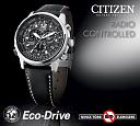 Citizen Promaster Sky Eco-Drive AS4020-28E-as402028e.jpg