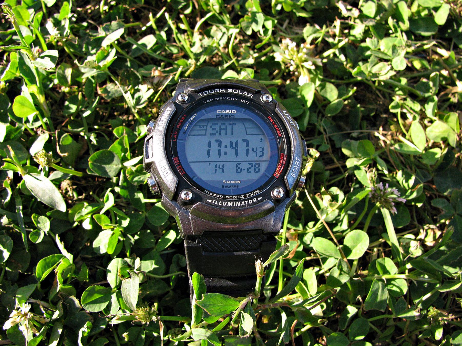 Naziv: IMG_8204 ....jpg, pregleda: 1100, veličina: 497,5 KB