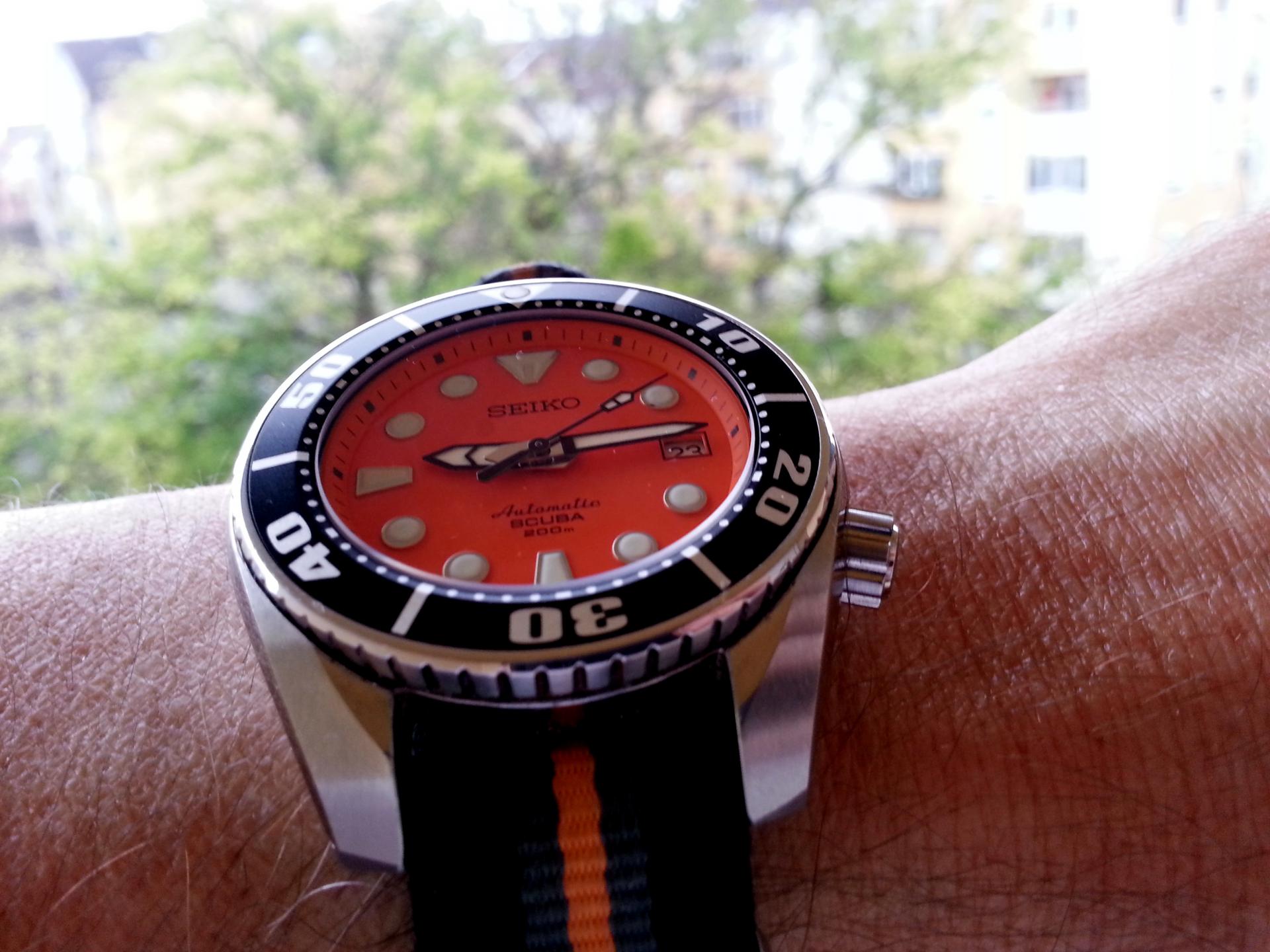 Naziv: 20141023_091355.jpg, pregleda: 225, veličina: 228,7 KB