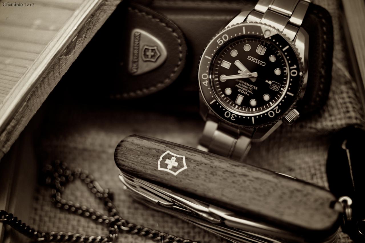 Naziv: DSC_2419.jpg, pregleda: 156, veličina: 111,0 KB