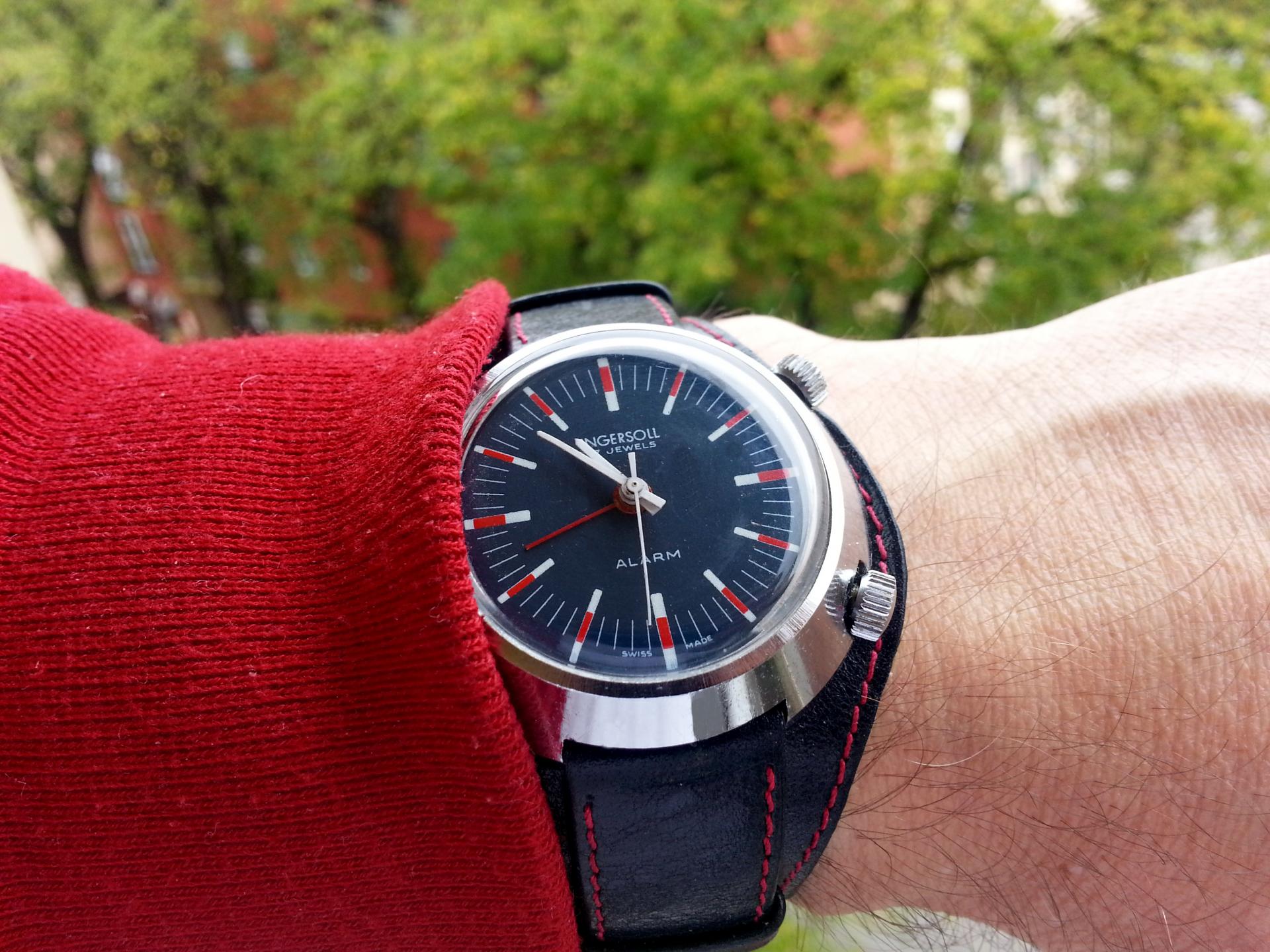 Naziv: 20141101_105323.jpg, pregleda: 159, veličina: 339,1 KB