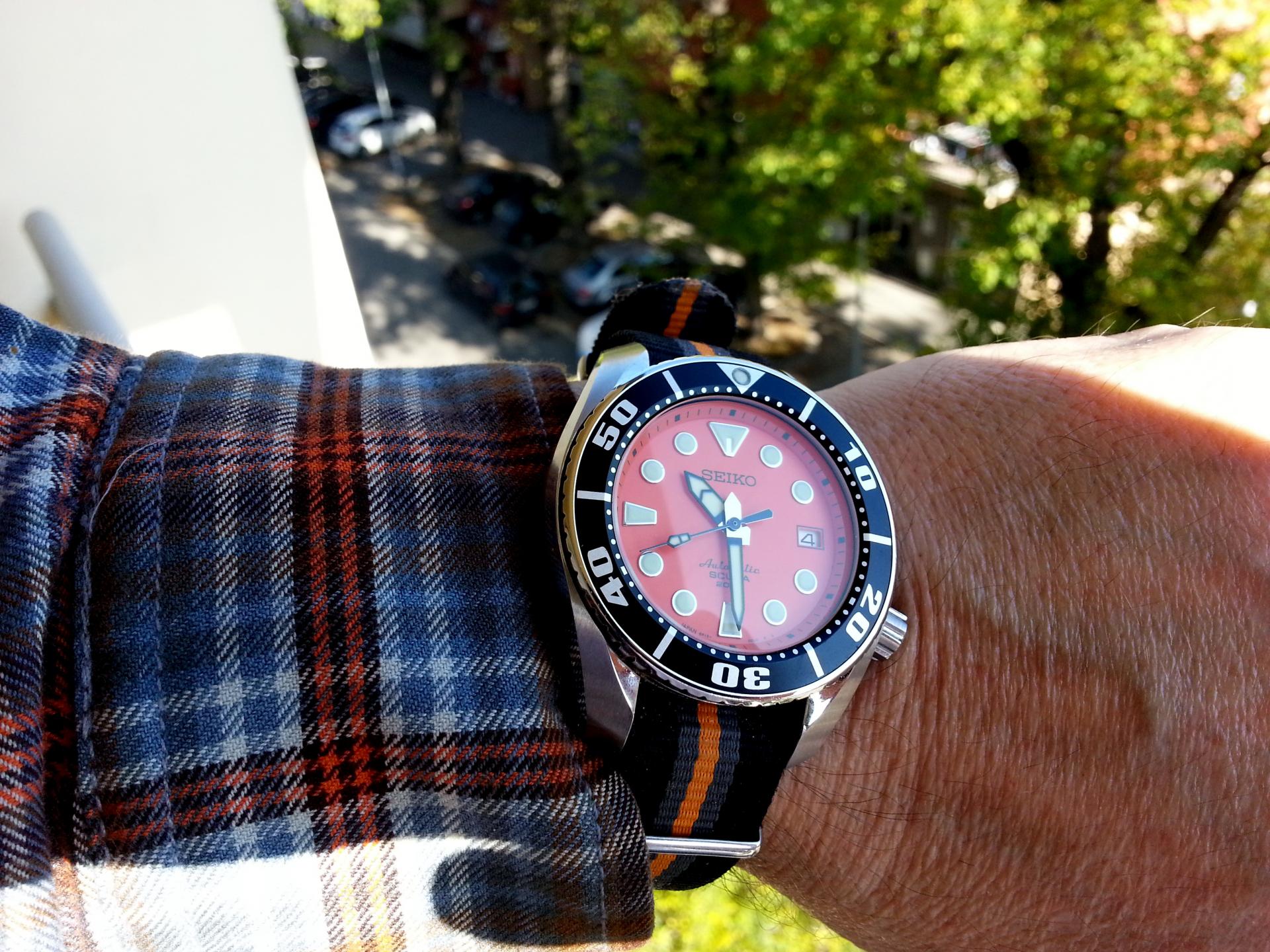 Naziv: 20141104_102923.jpg, pregleda: 227, veličina: 409,7 KB