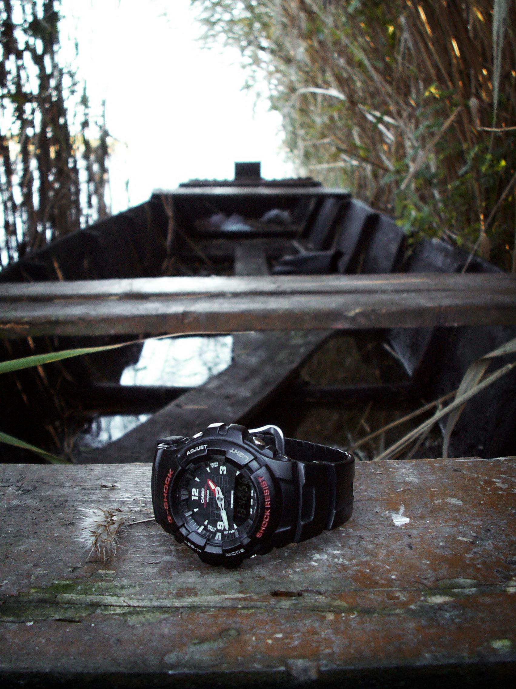 Naziv: PICT0010-1.jpg, pregleda: 205, veličina: 451,5 KB