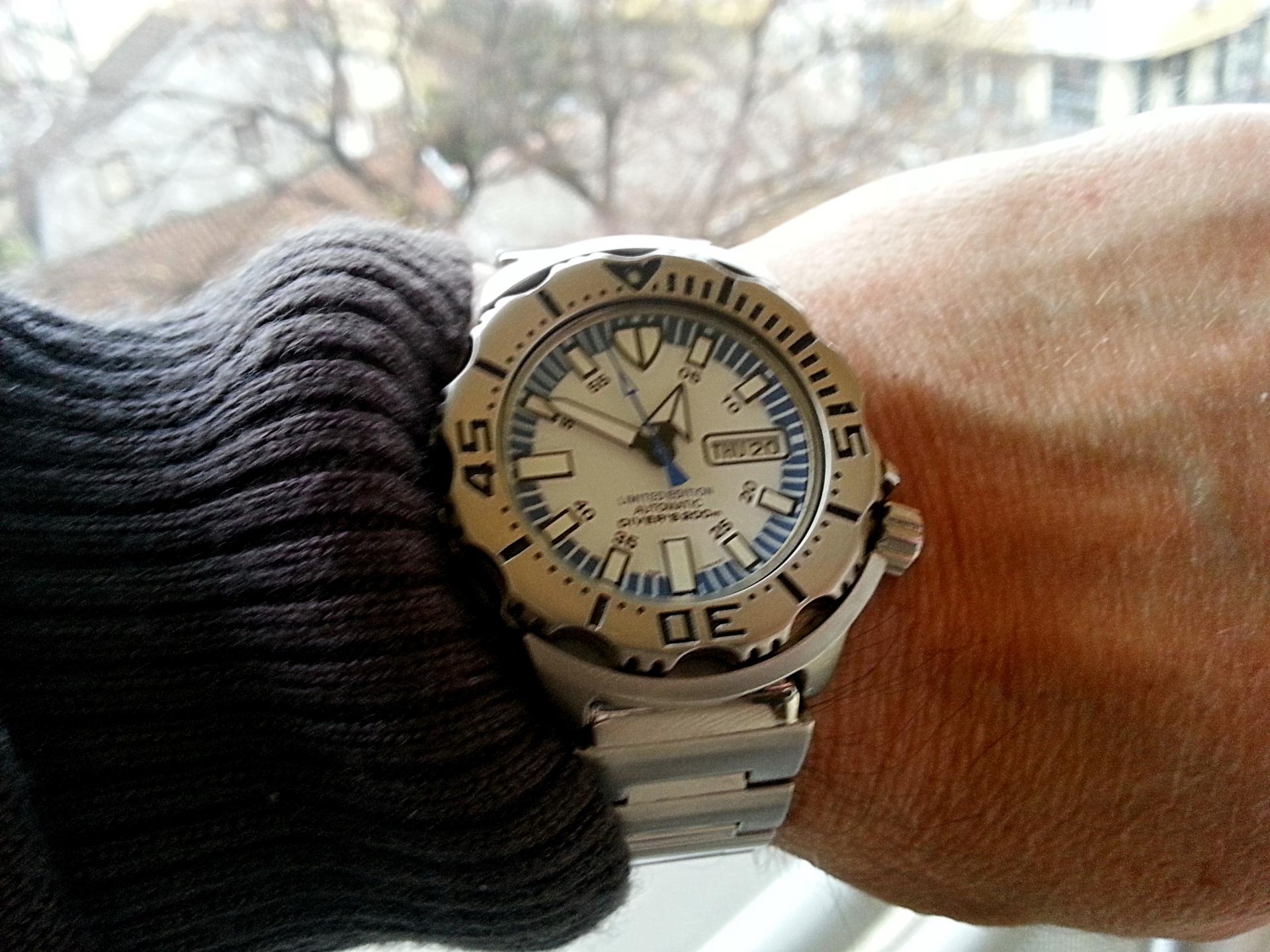 Naziv: 20141120_124927.jpg, pregleda: 170, veličina: 318,9 KB