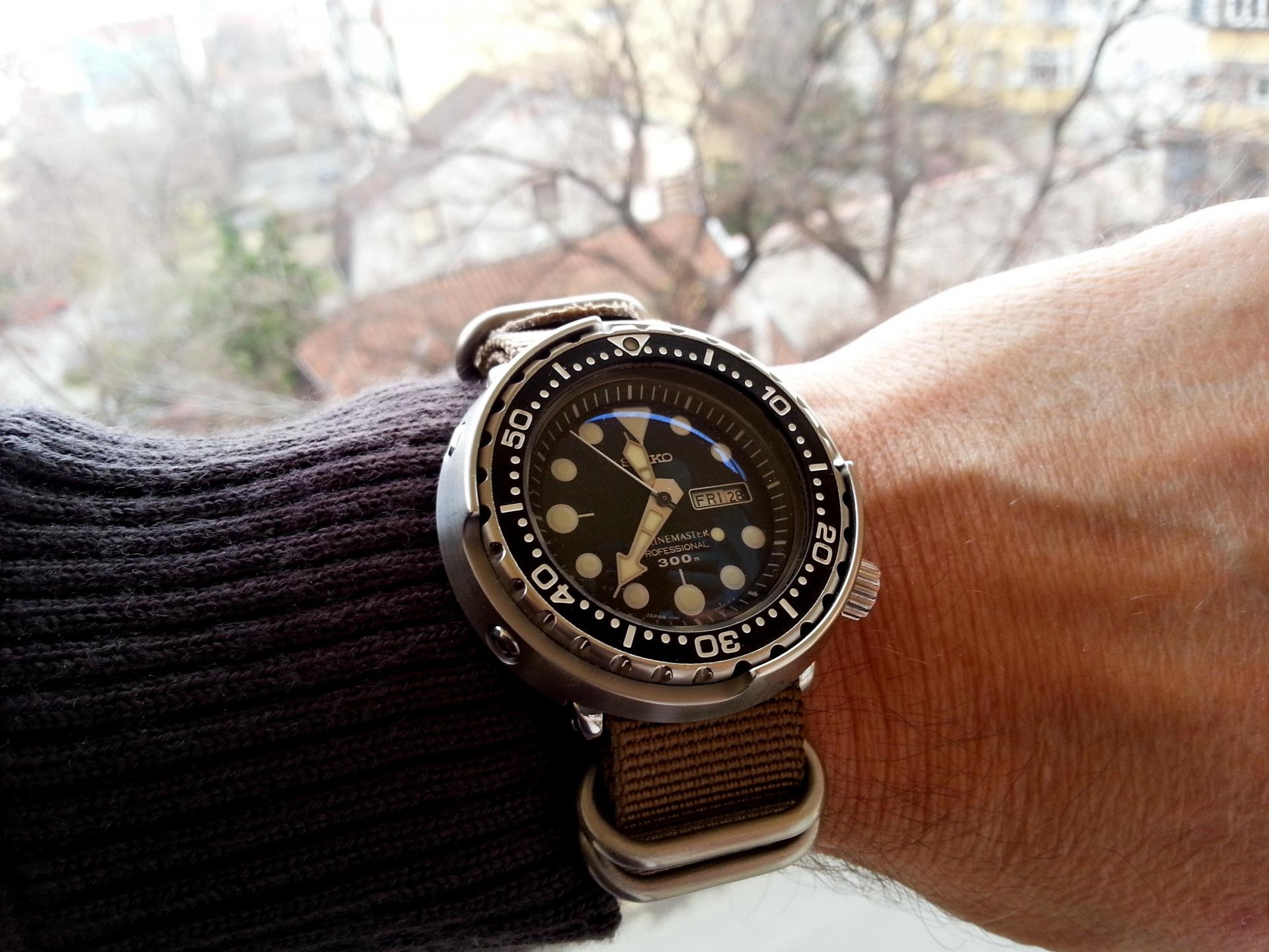 Naziv: tuna i zulu.jpg, pregleda: 186, veličina: 265,0 KB