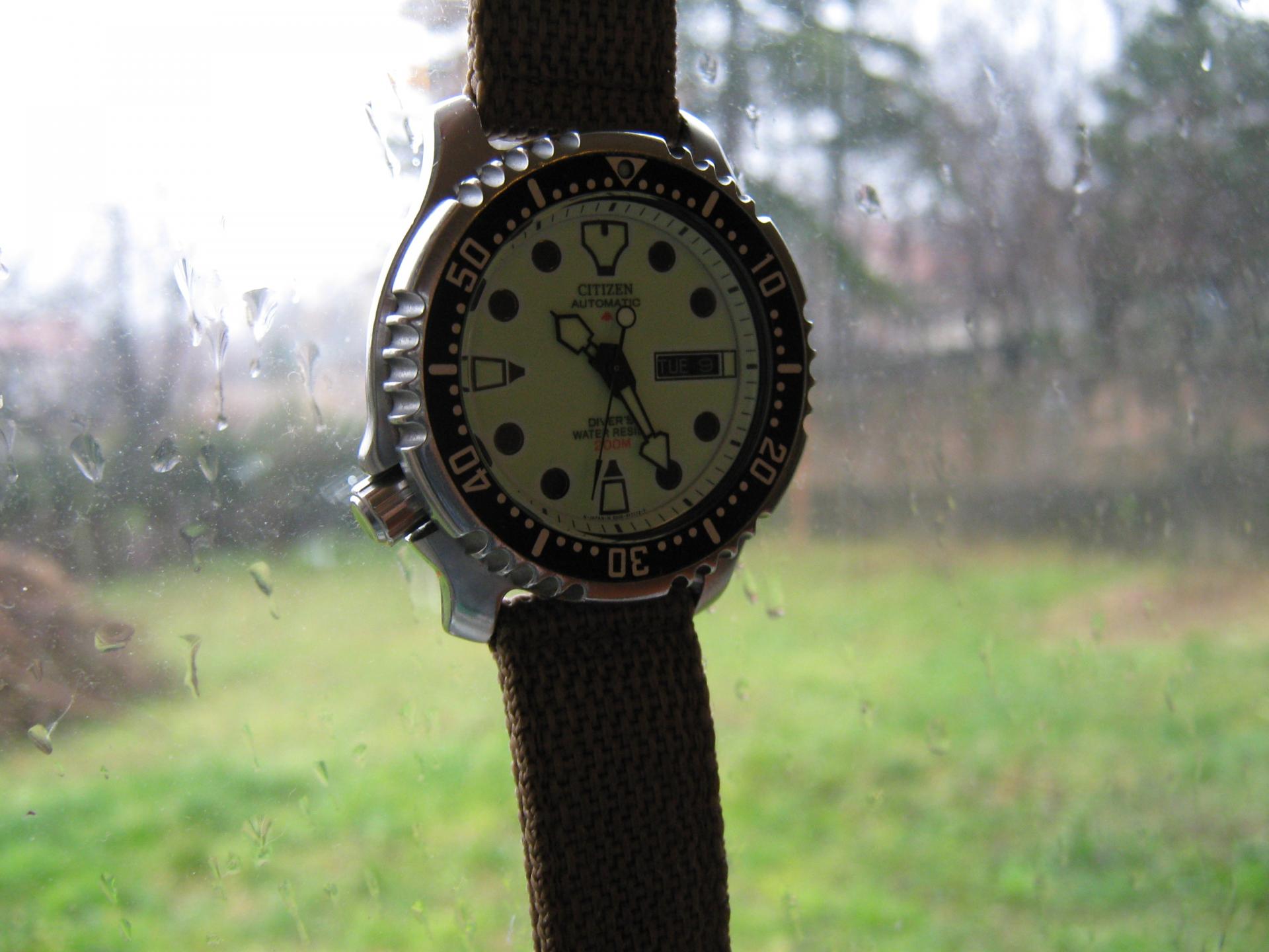 Naziv: IMG_2767.jpg, pregleda: 186, veličina: 187,0 KB