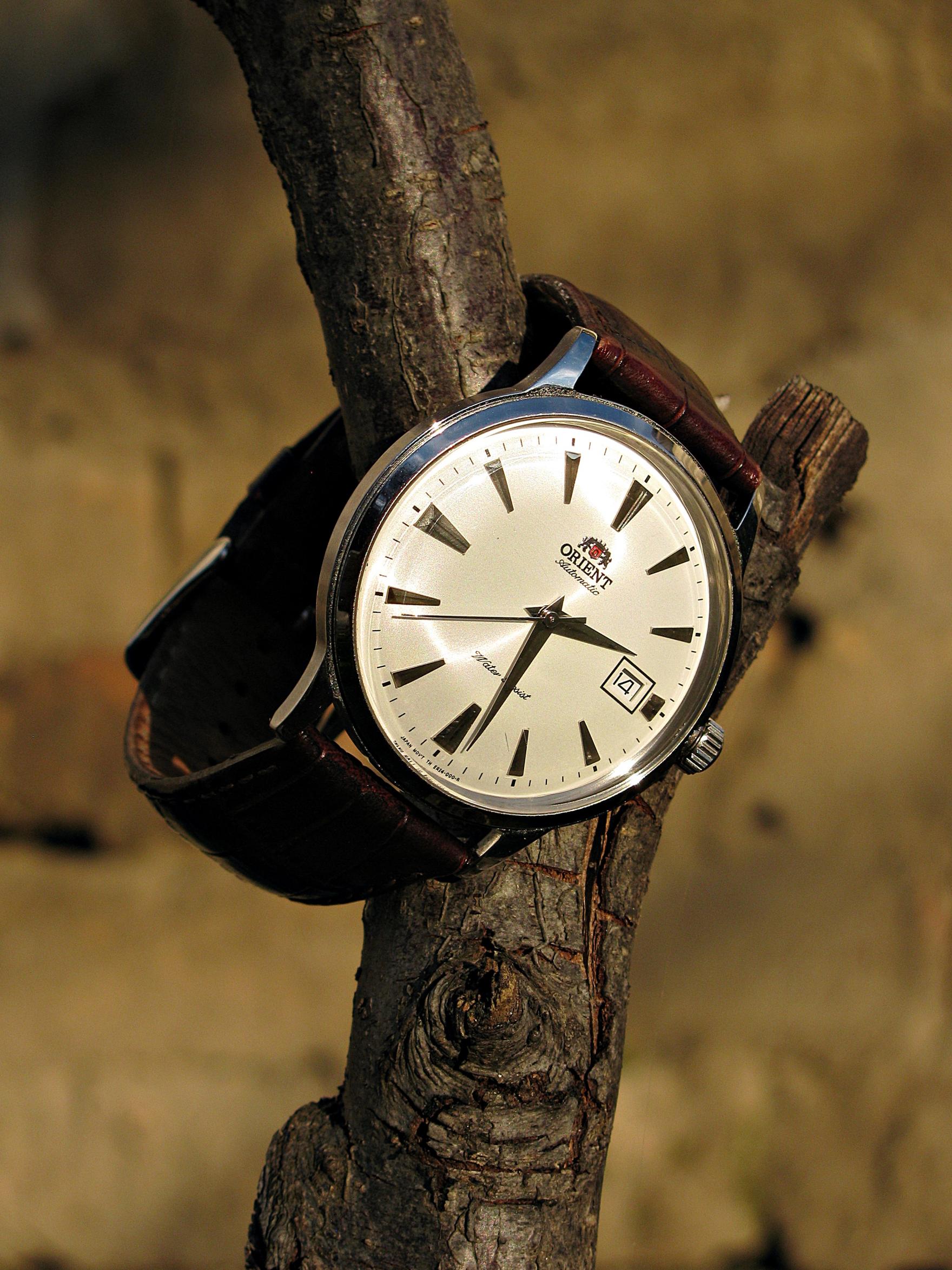 Naziv: IMG_0257 ....jpg, pregleda: 228, veličina: 486,4 KB