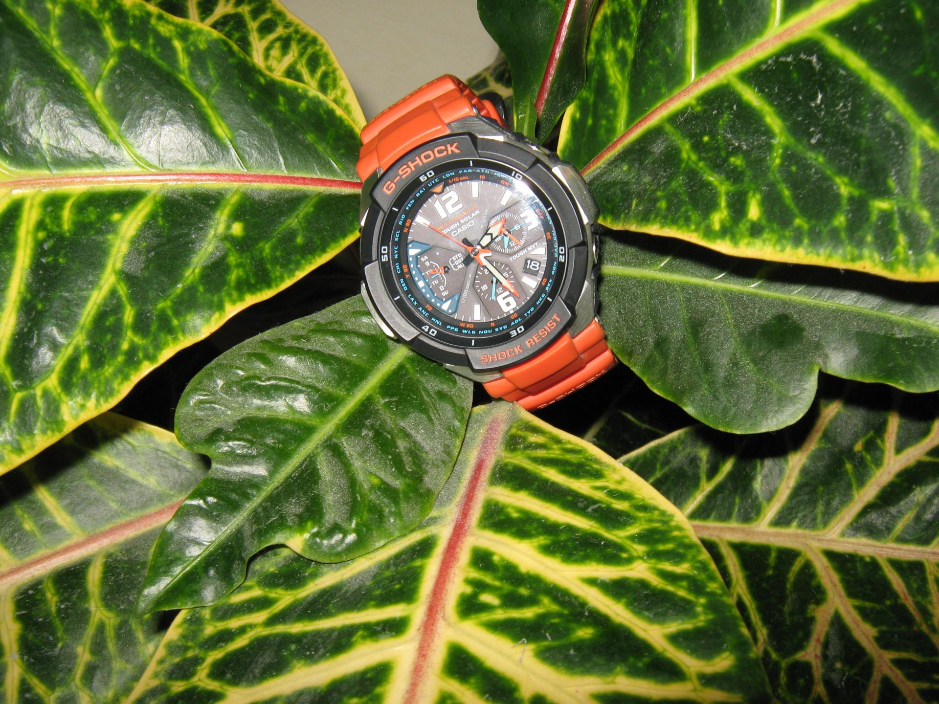 Naziv: IMG_2809.jpg, pregleda: 164, veličina: 433,2 KB