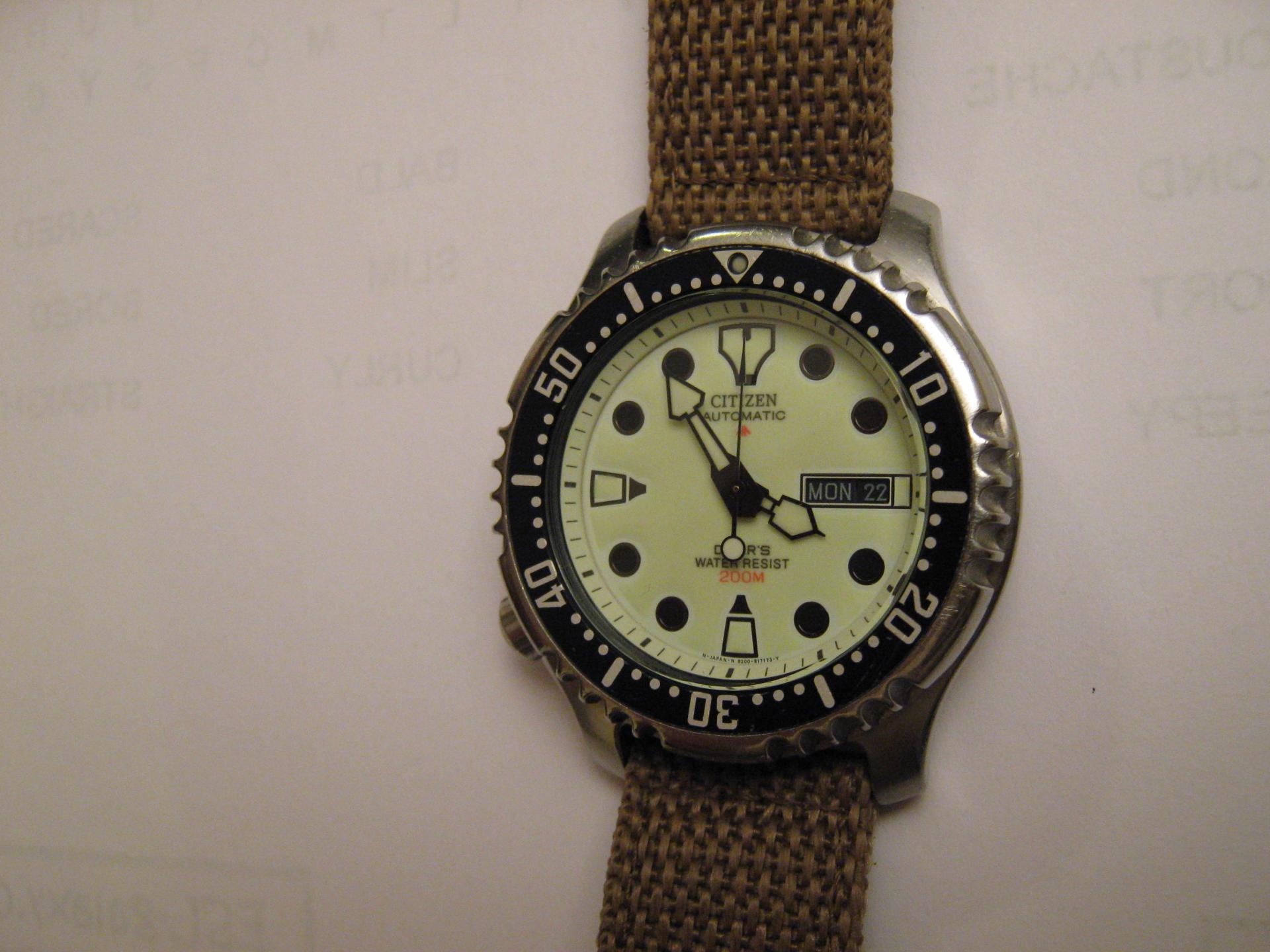 Naziv: IMG_2845.jpg, pregleda: 245, veličina: 225,4 KB