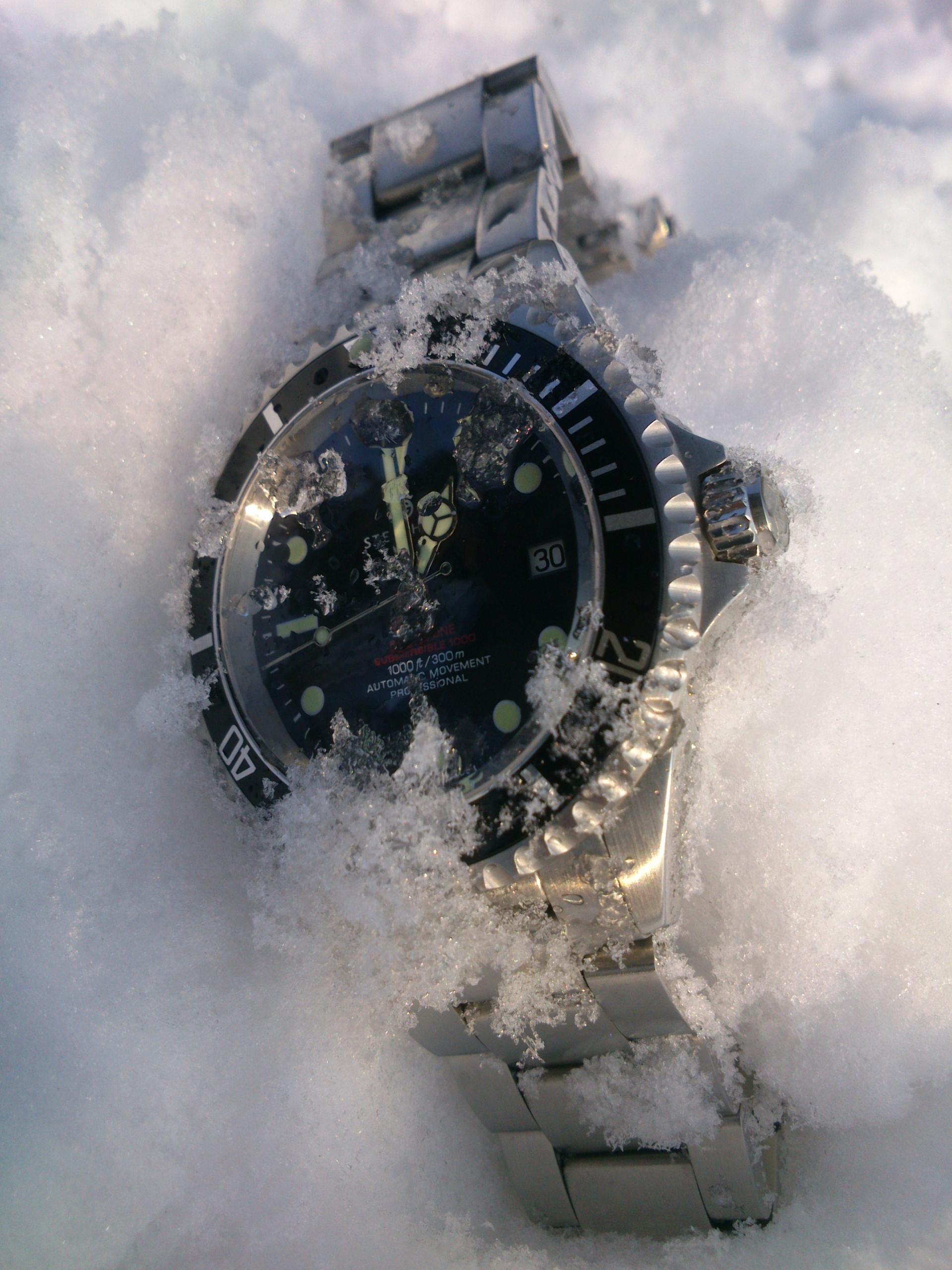 Naziv: DSC_2239.jpg, pregleda: 177, veličina: 421,5 KB