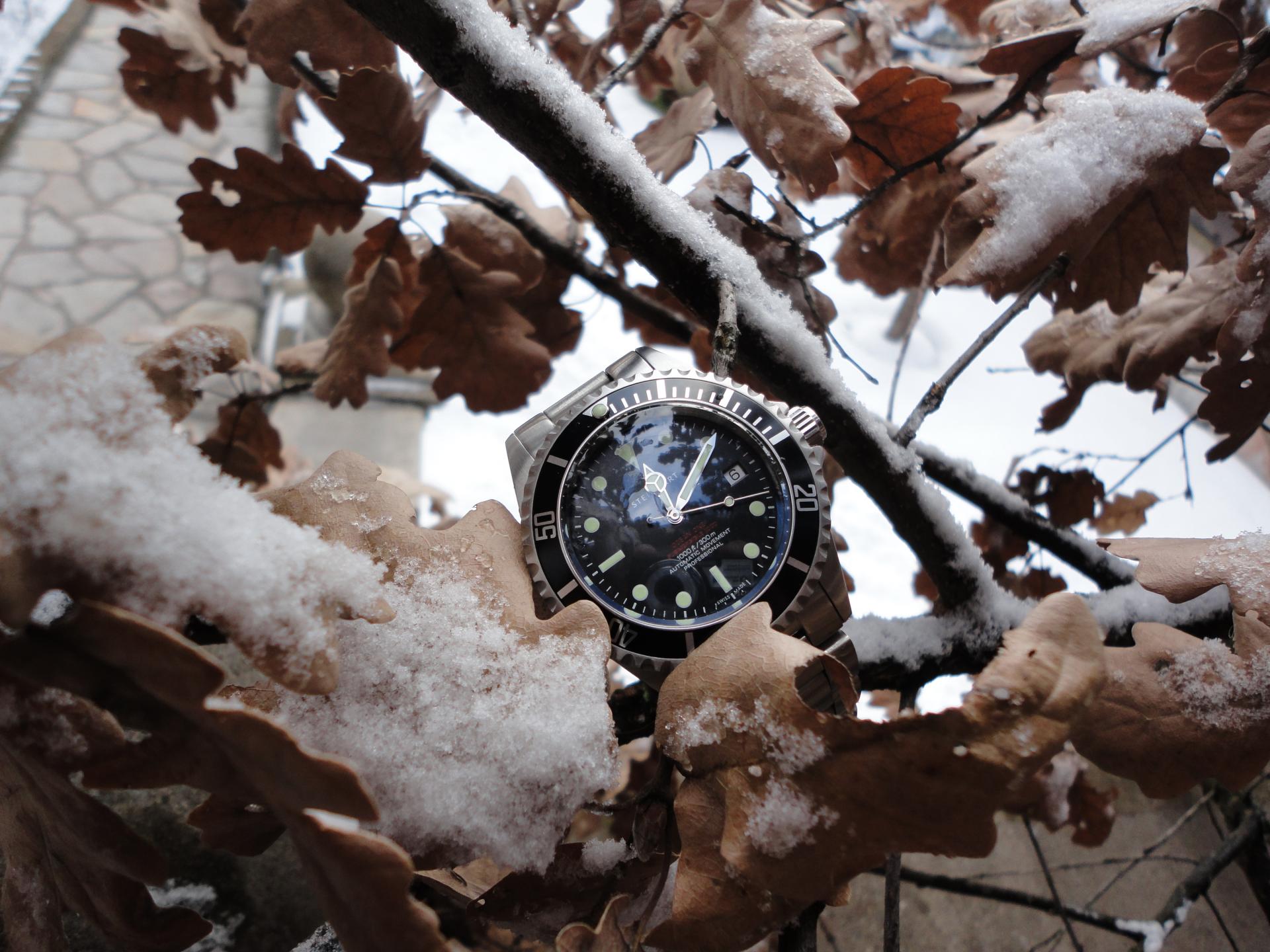 Naziv: DSC04187.jpg, pregleda: 201, veličina: 293,3 KB