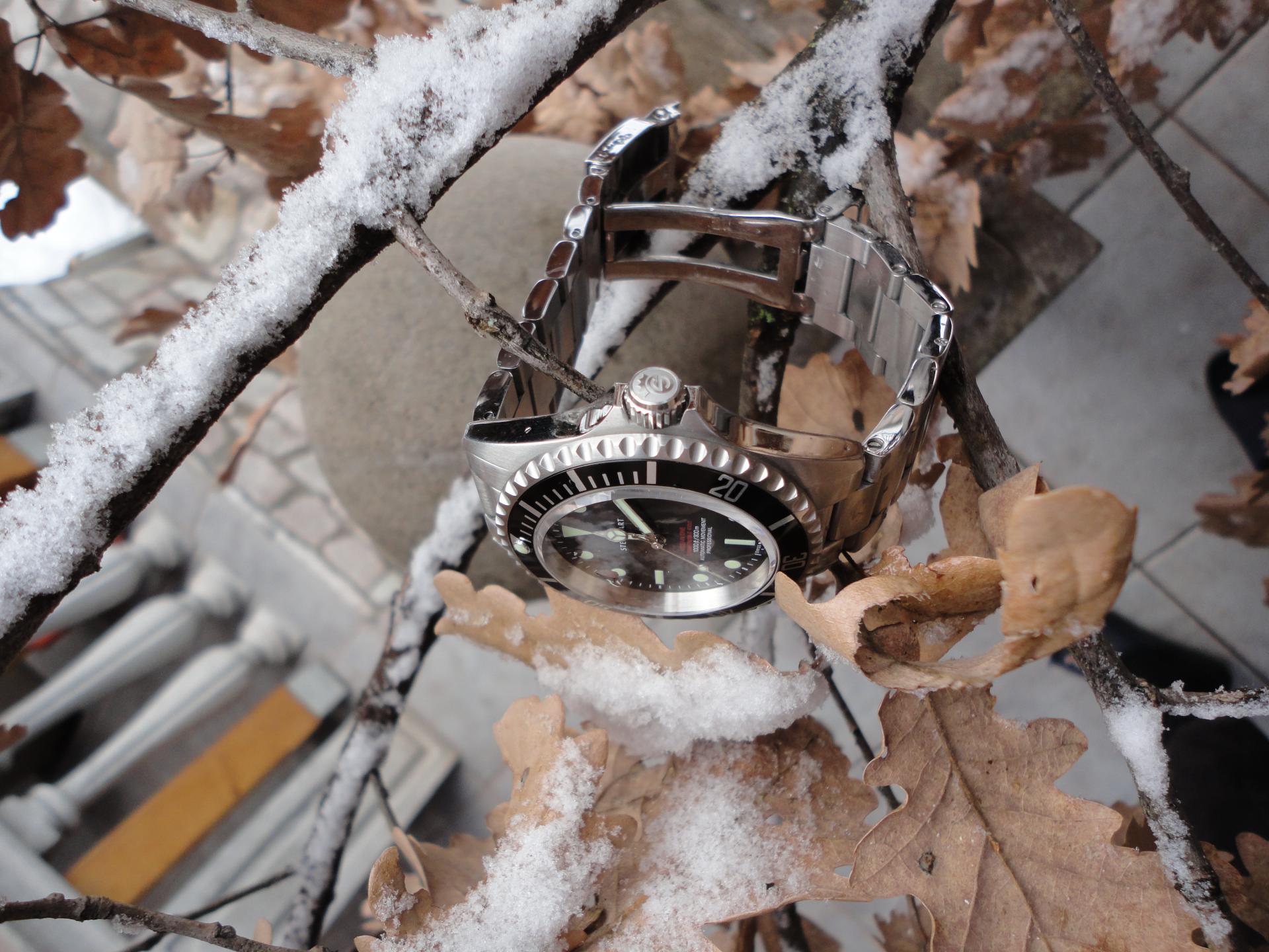 Naziv: DSC04189.jpg, pregleda: 200, veličina: 298,1 KB