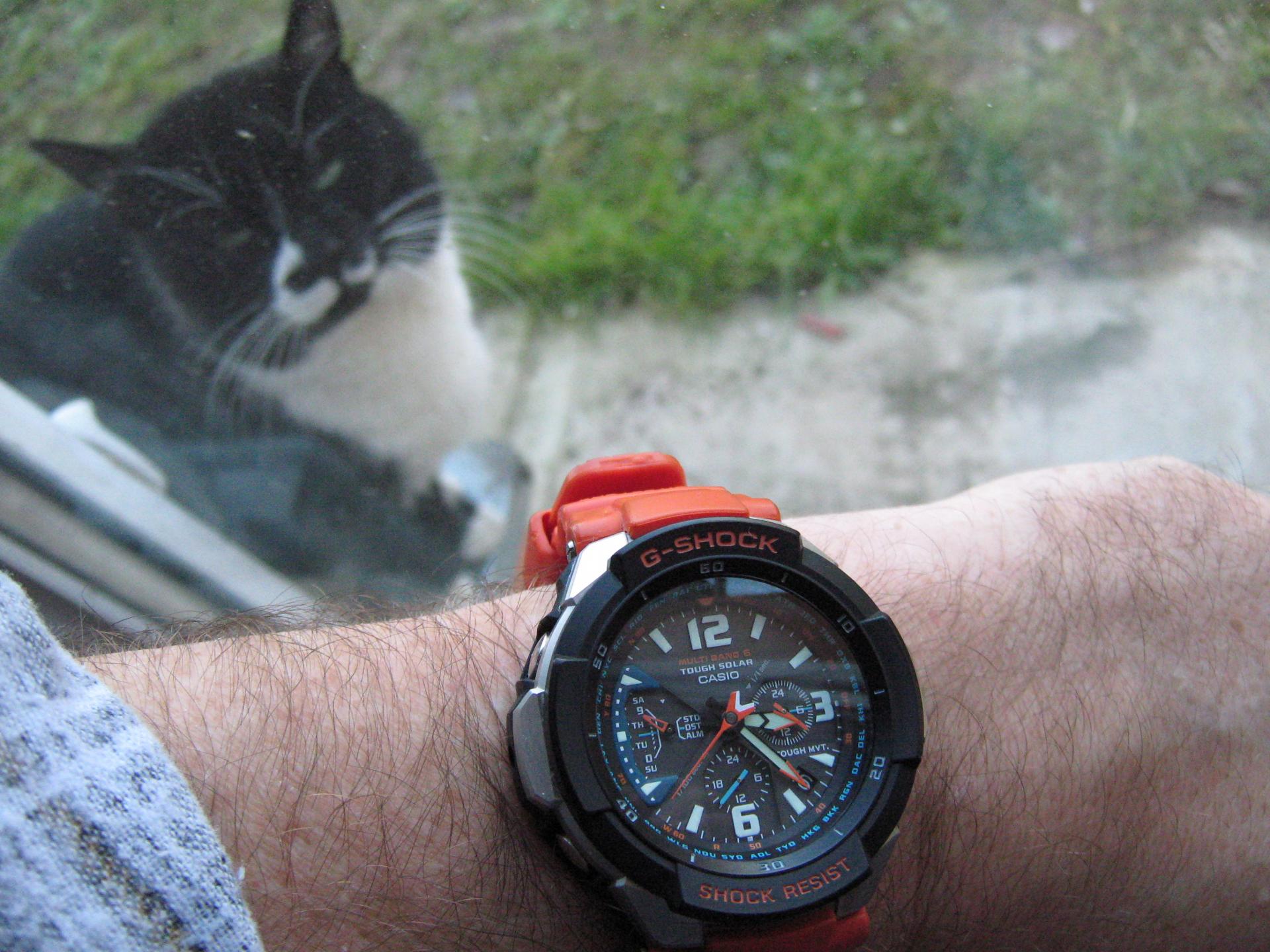 Naziv: IMG_2909.jpg, pregleda: 198, veličina: 315,3 KB