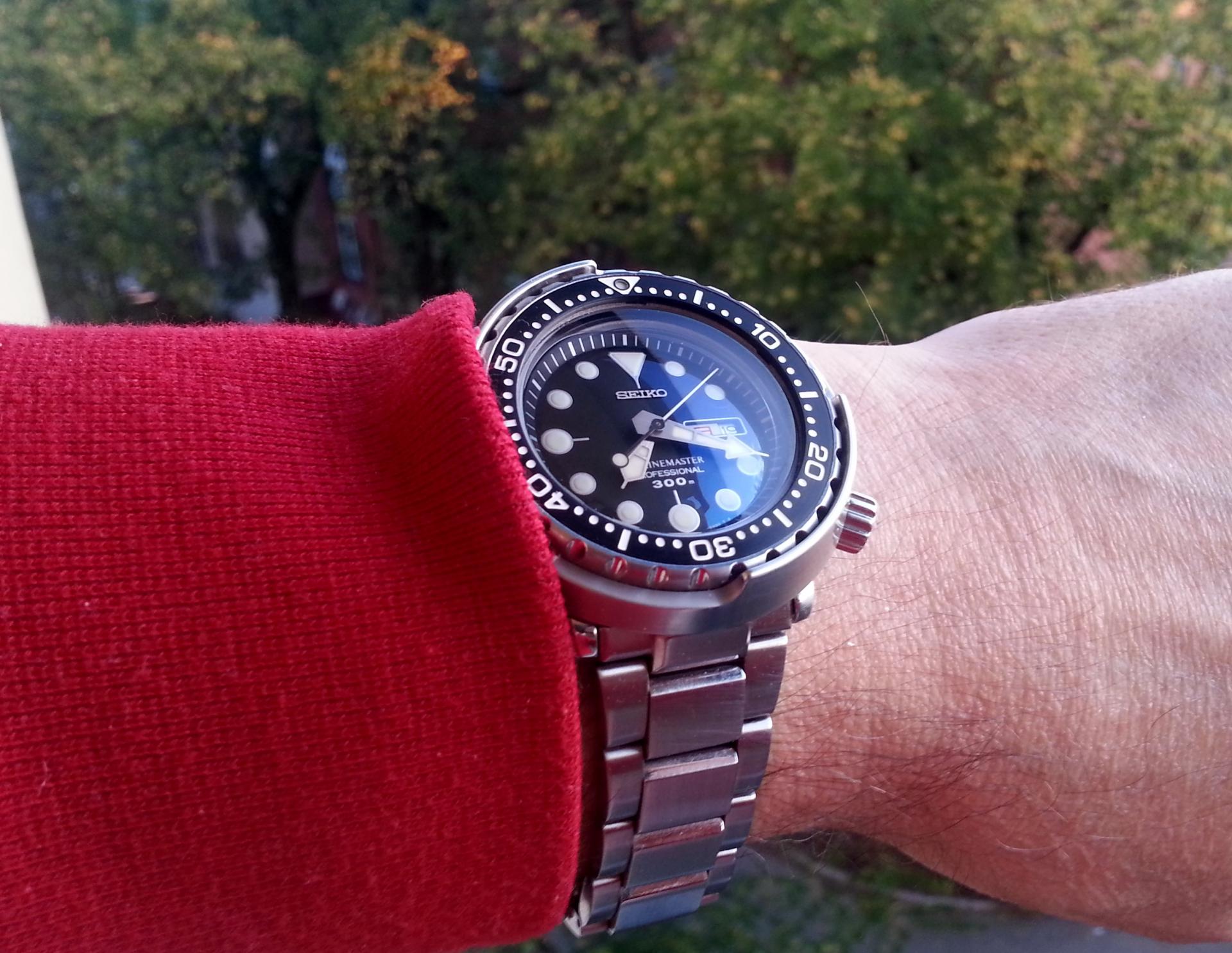 Naziv: 20141019_071904.jpg, pregleda: 345, veličina: 291,6 KB