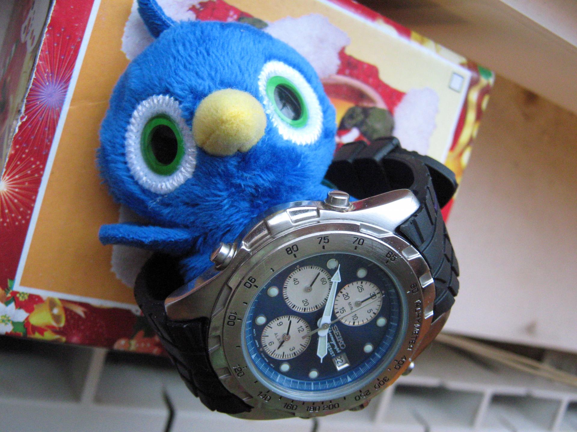 Naziv: IMG_2956.jpg, pregleda: 204, veličina: 316,3 KB