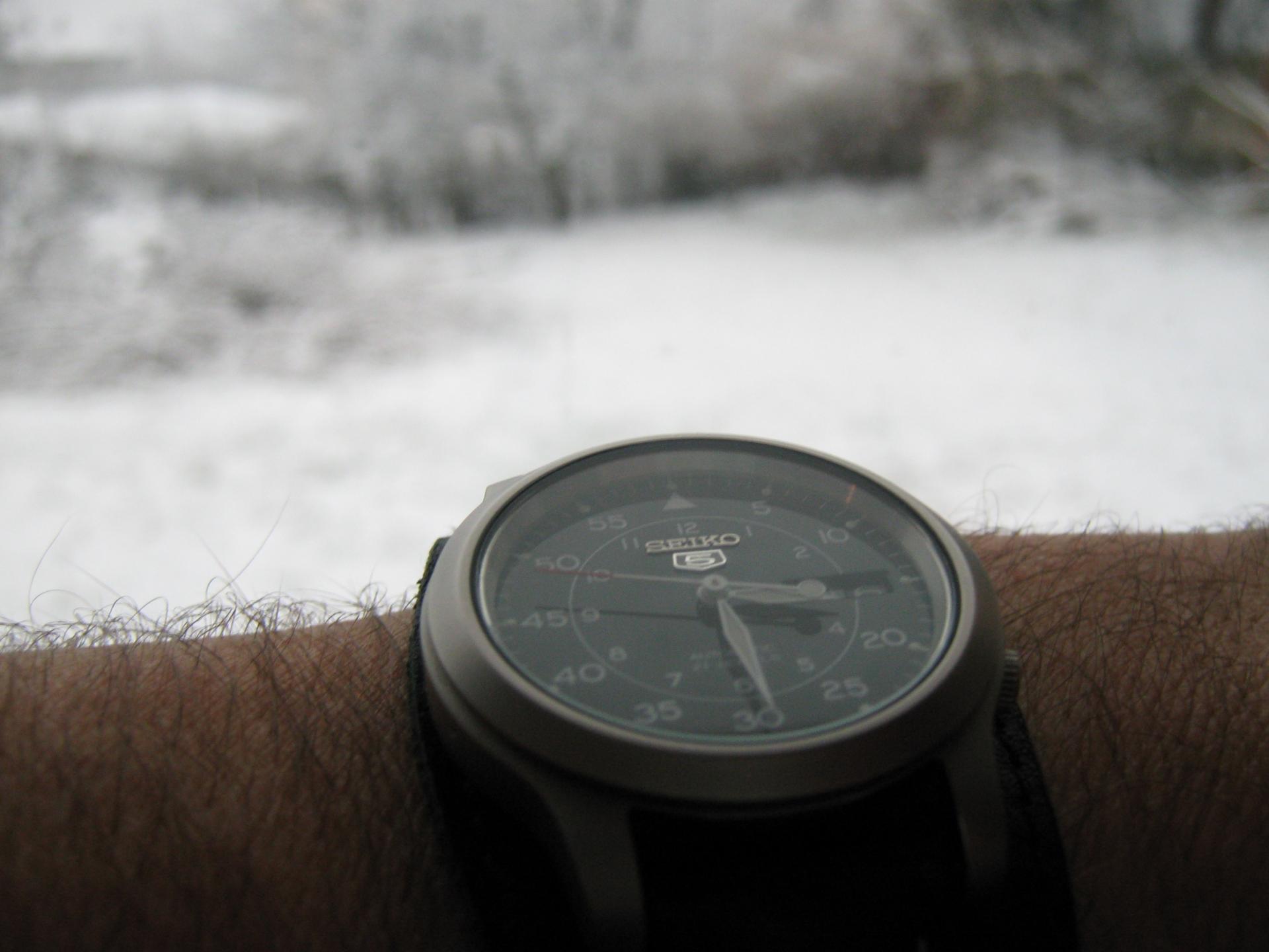 Naziv: IMG_3068.jpg, pregleda: 199, veličina: 144,3 KB