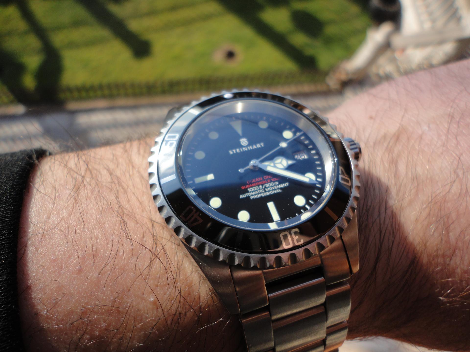 Naziv: DSC04305.jpg, pregleda: 175, veličina: 248,8 KB