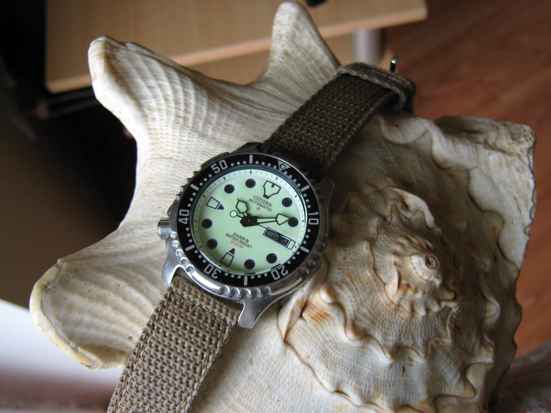 Naziv: IMG_3170.jpg, pregleda: 181, veličina: 252,4 KB