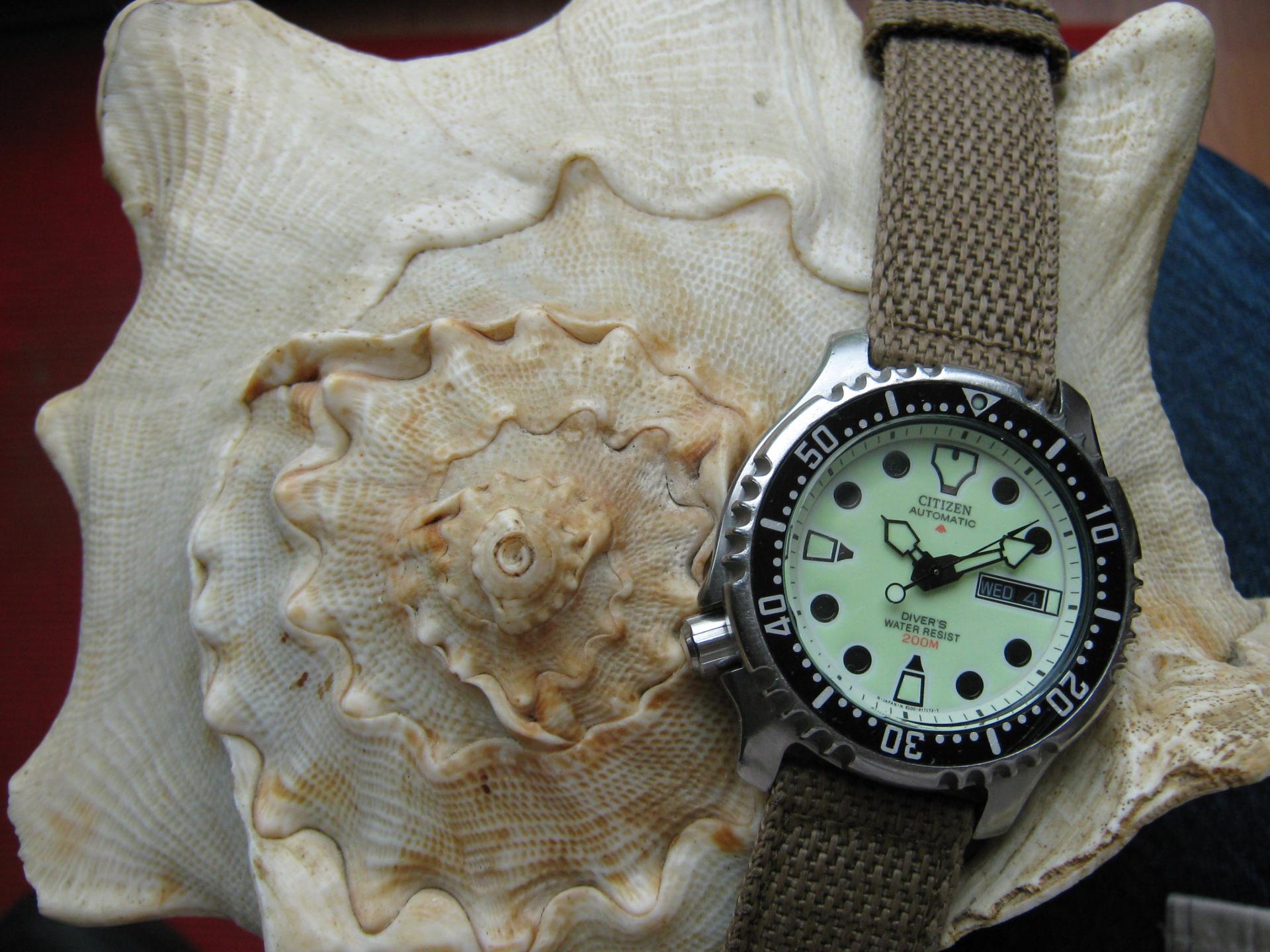 Naziv: IMG_3173.jpg, pregleda: 185, veličina: 297,4 KB