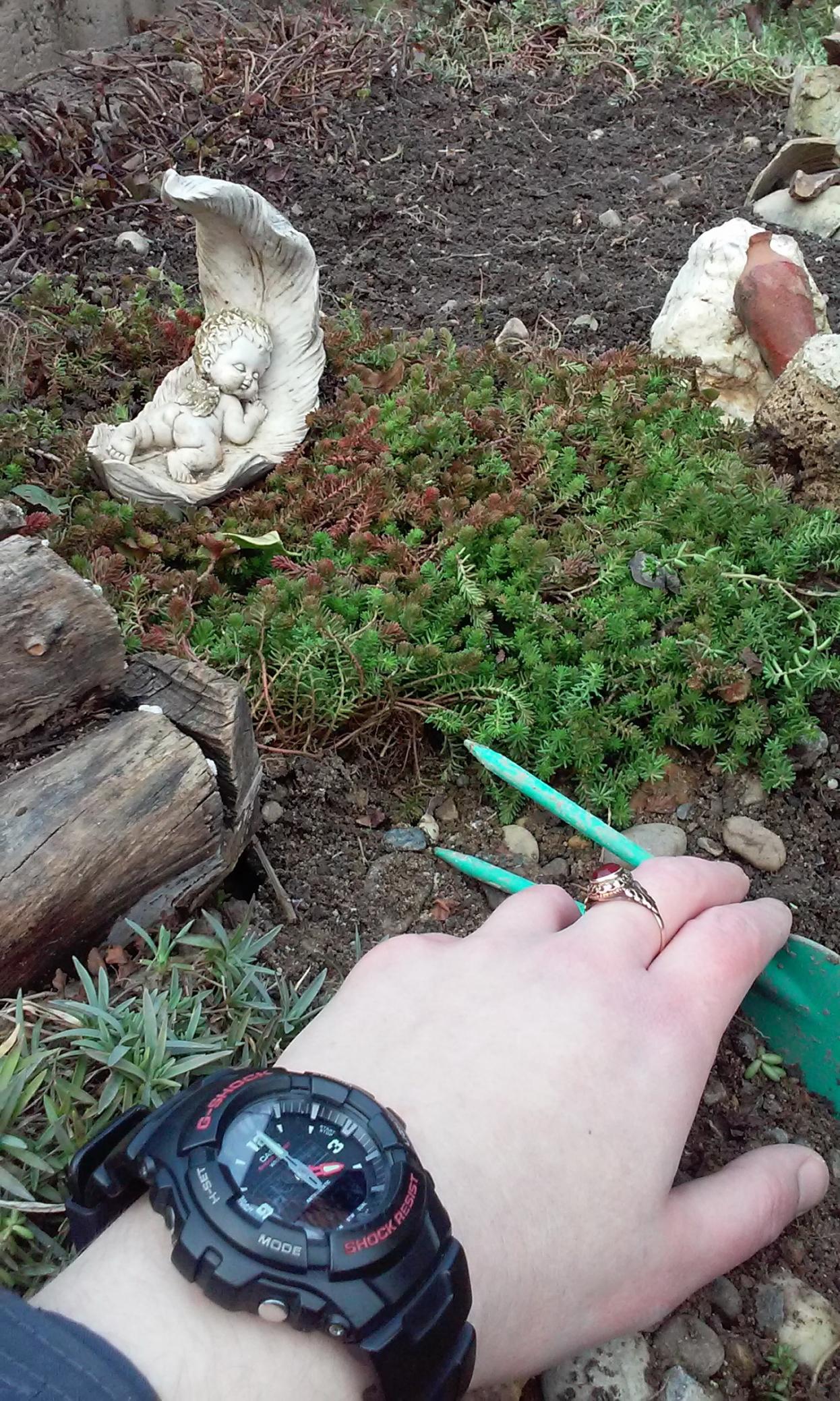 Naziv: 20150308_155908.jpg, pregleda: 235, veličina: 502,5 KB