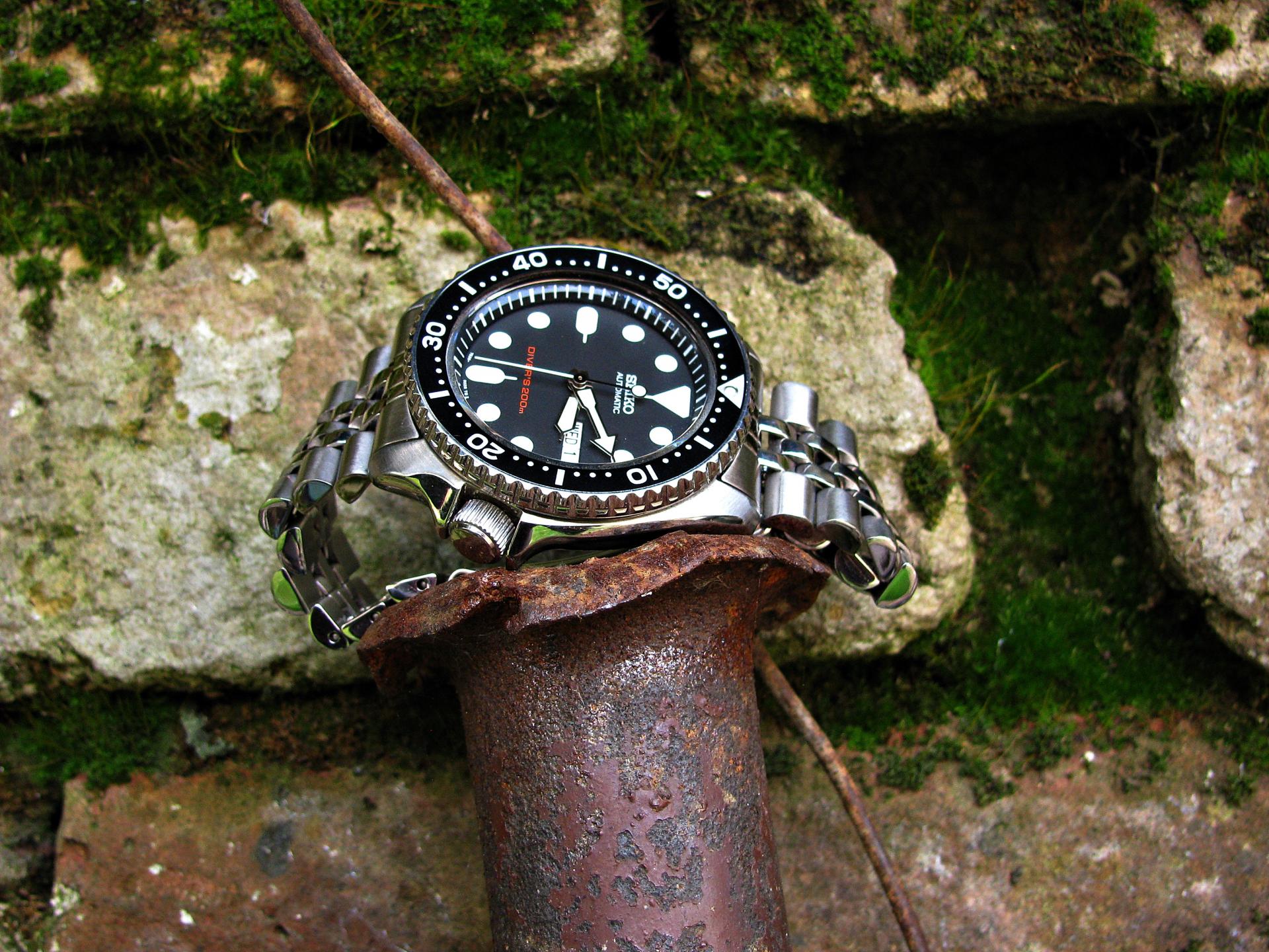 Naziv: IMG_0530 ....jpg, pregleda: 207, veličina: 439,6 KB