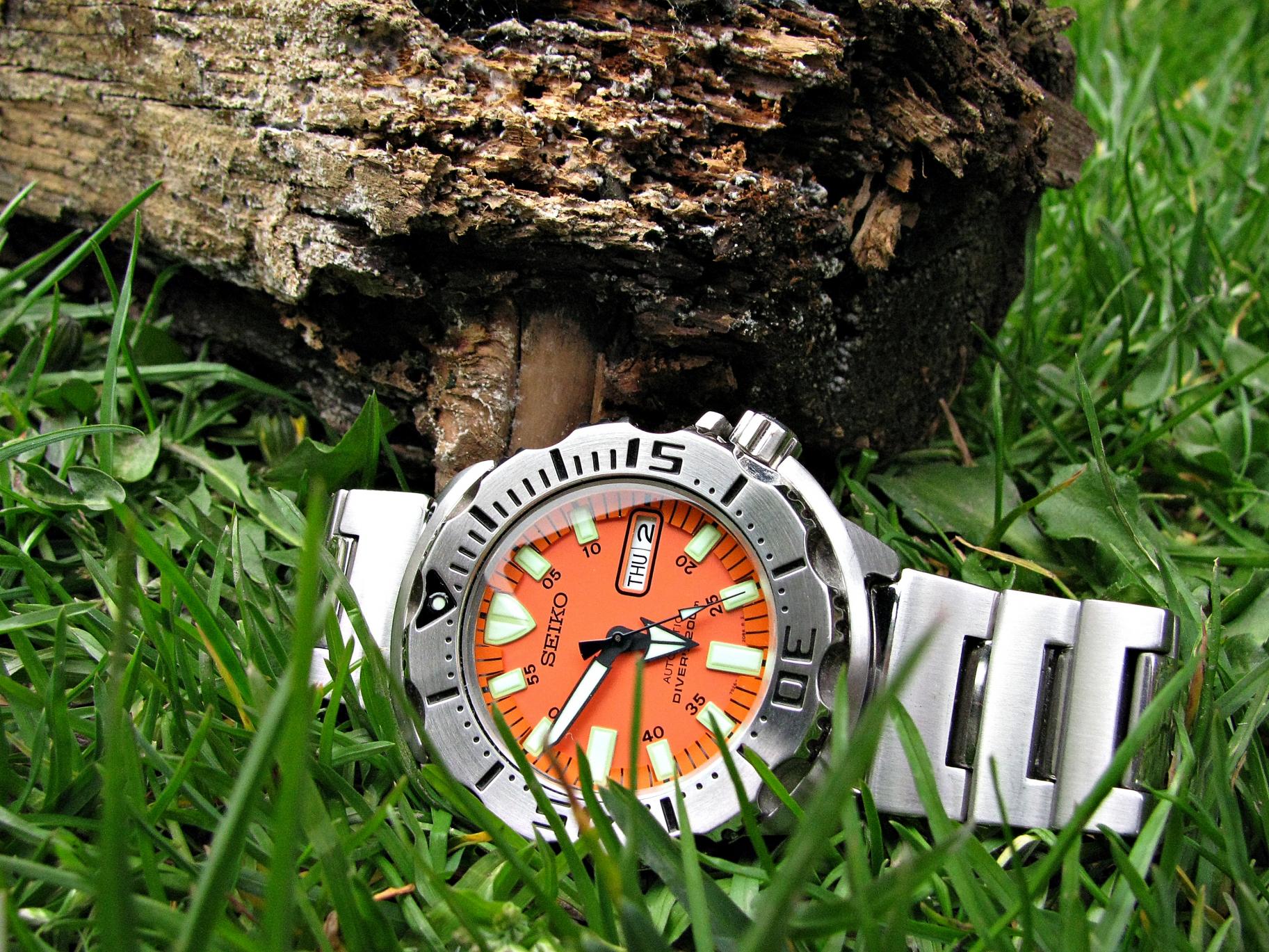 Naziv: IMG_1109 ....jpg, pregleda: 227, veličina: 495,7 KB