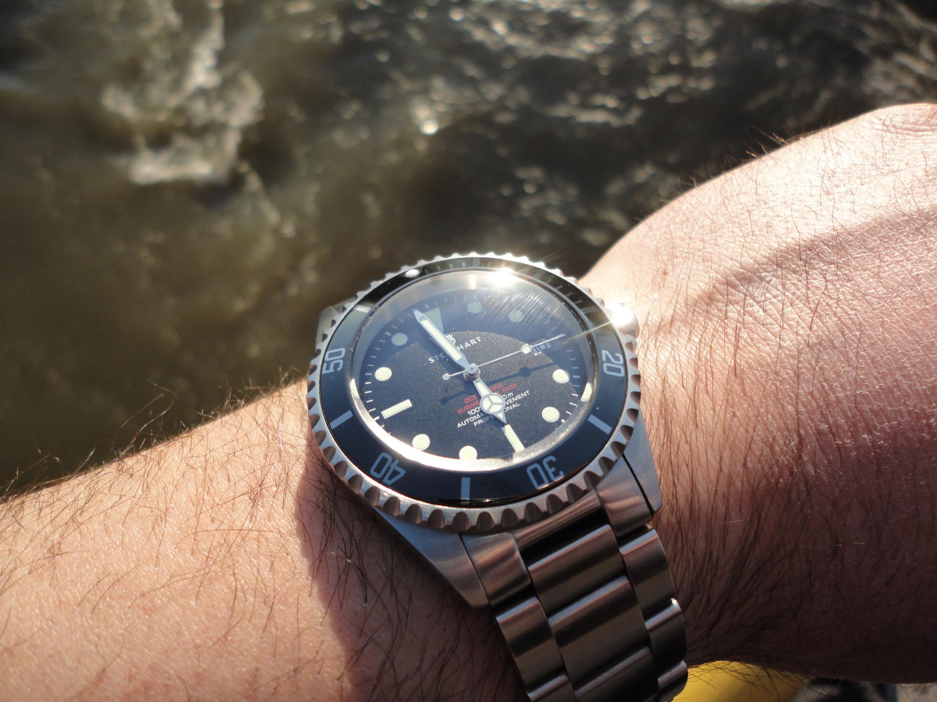 Naziv: DSC04440.jpg, pregleda: 205, veličina: 289,4 KB