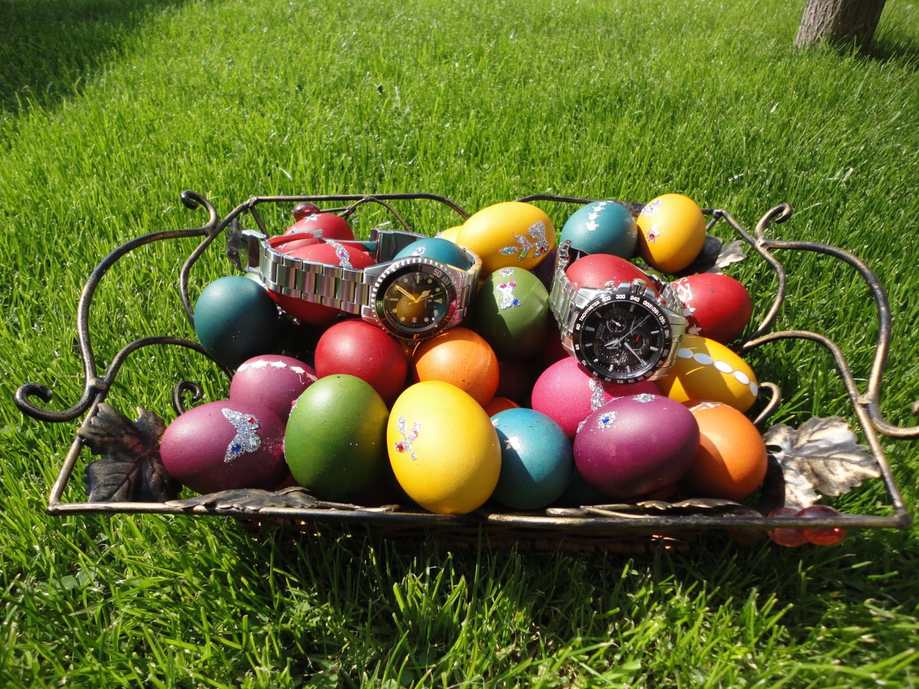 Naziv: DSC04446.jpg, pregleda: 145, veličina: 498,9 KB