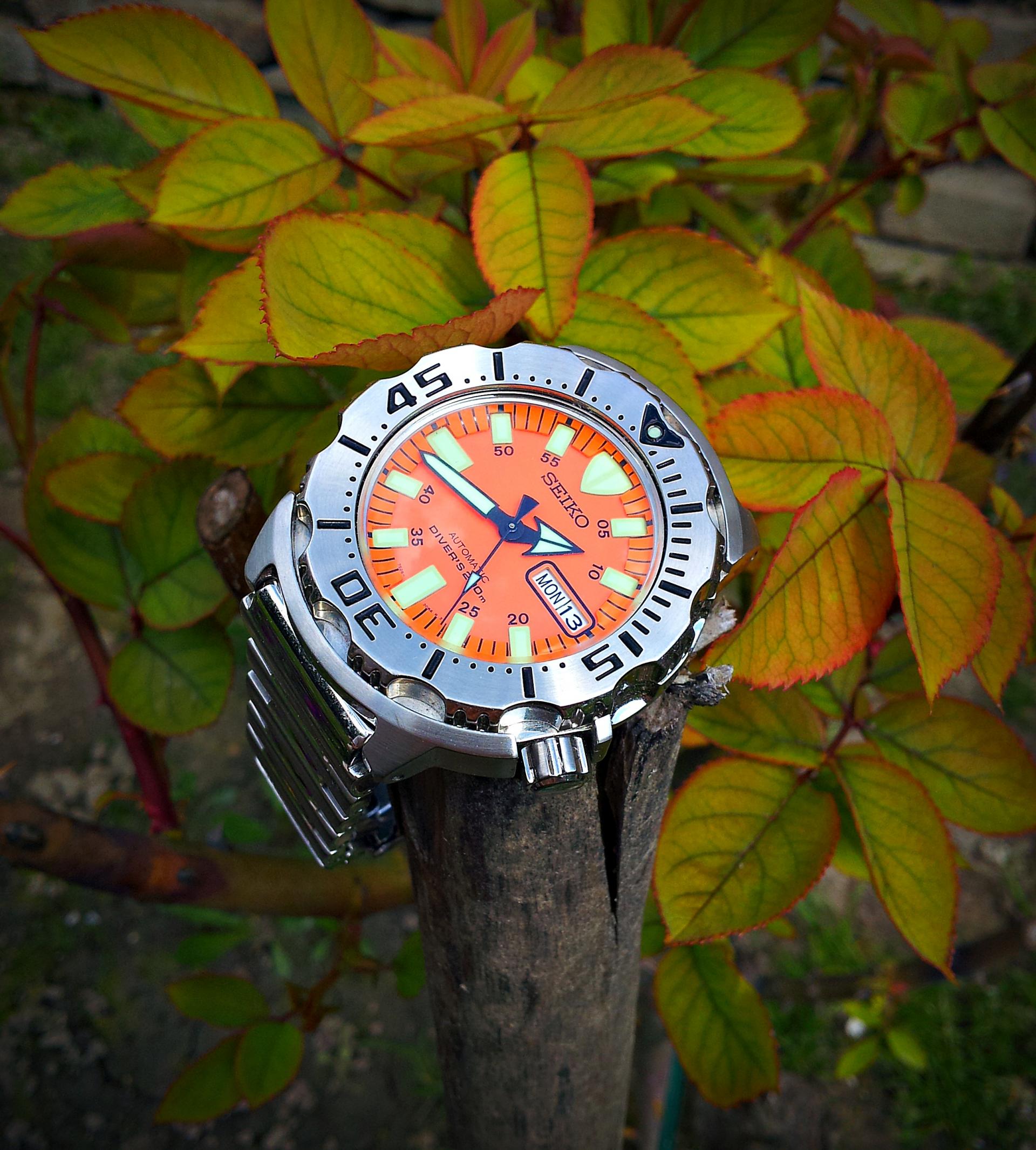 Naziv: 20150413_134237 ....jpg, pregleda: 237, veličina: 423,4 KB