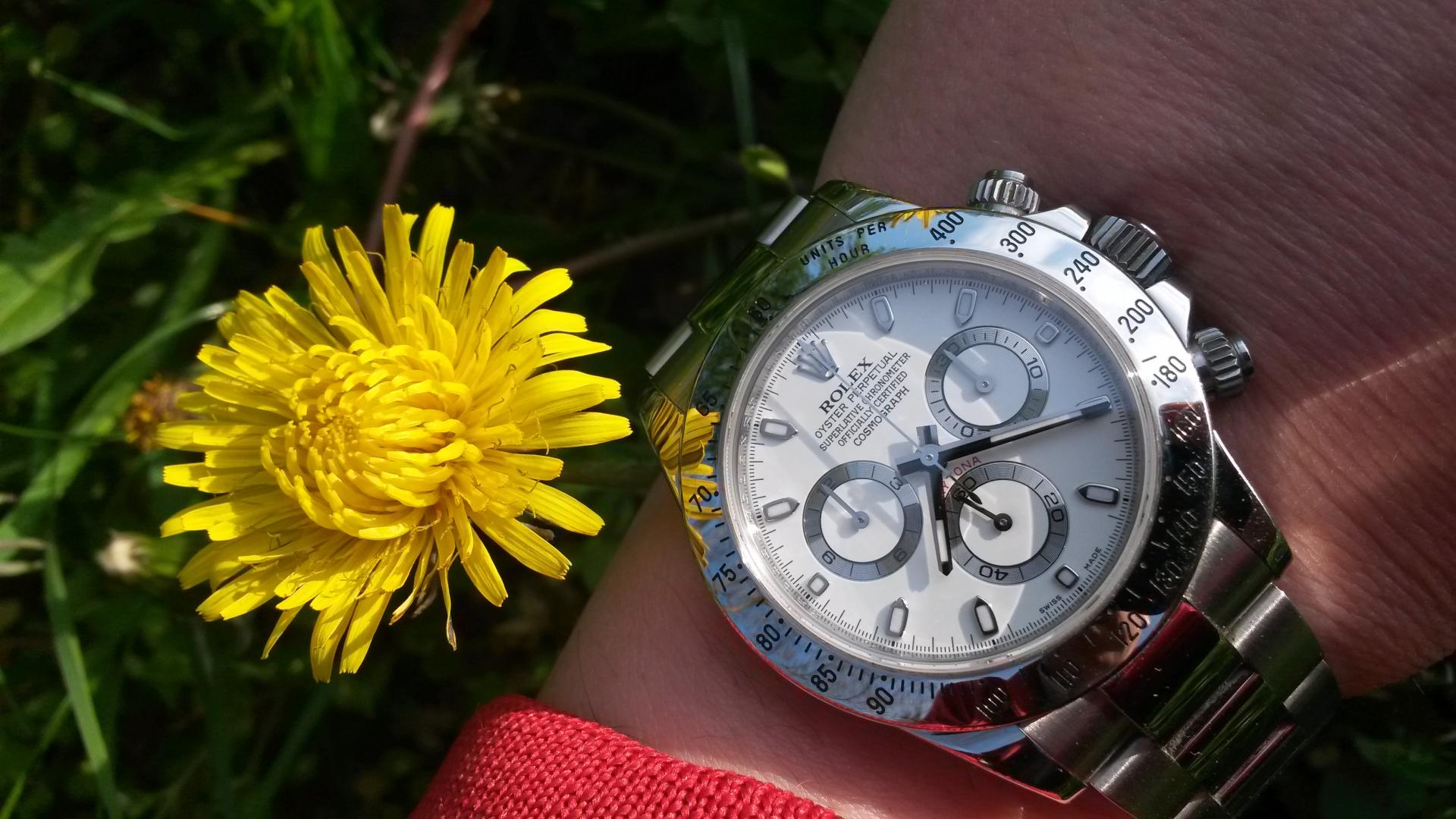 Naziv: 20150417_072046.jpg, pregleda: 187, veličina: 229,0 KB