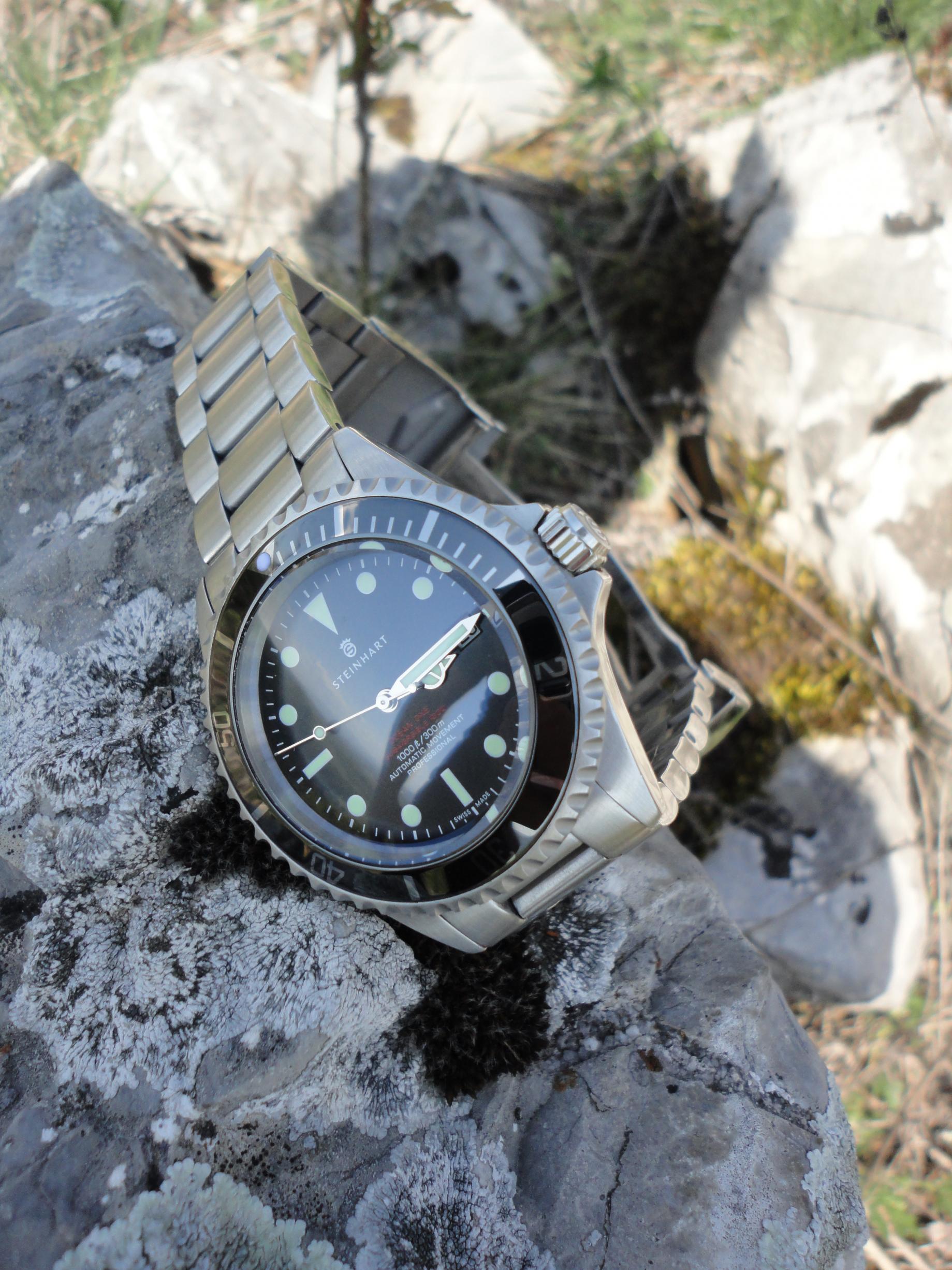 Naziv: DSC04476.jpg, pregleda: 190, veličina: 496,6 KB