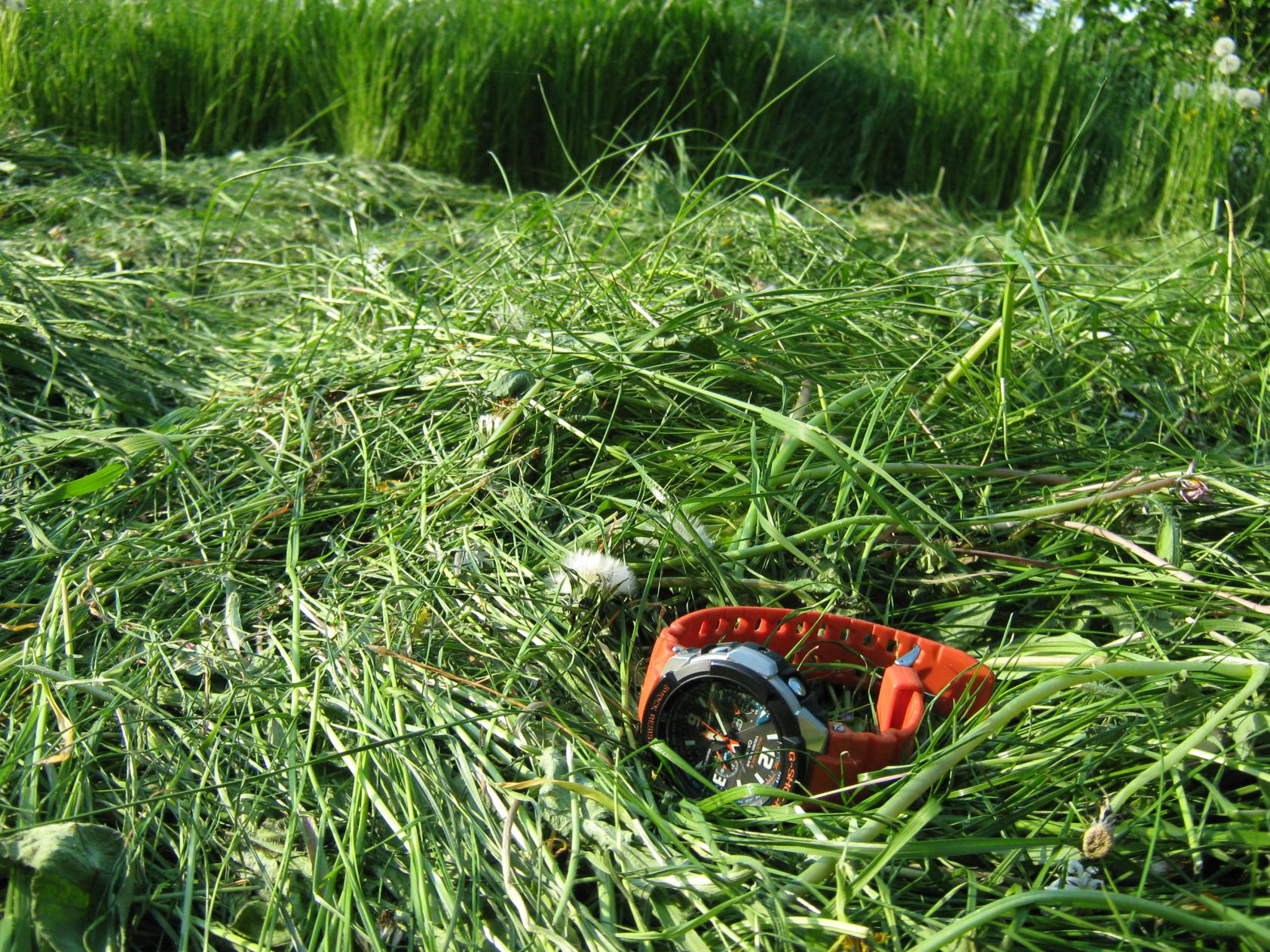 Naziv: IMG_3306.jpg, pregleda: 229, veličina: 514,8 KB