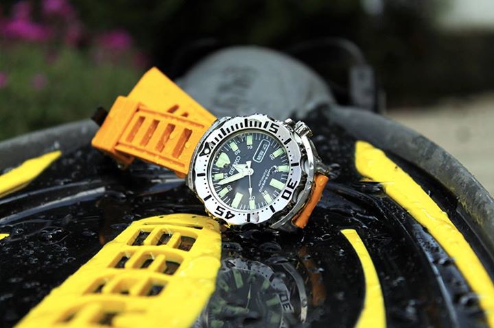 Naziv: 11218529_894924367212572_1622060013567634589_n.jpg, pregleda: 282, veličina: 54,2 KB