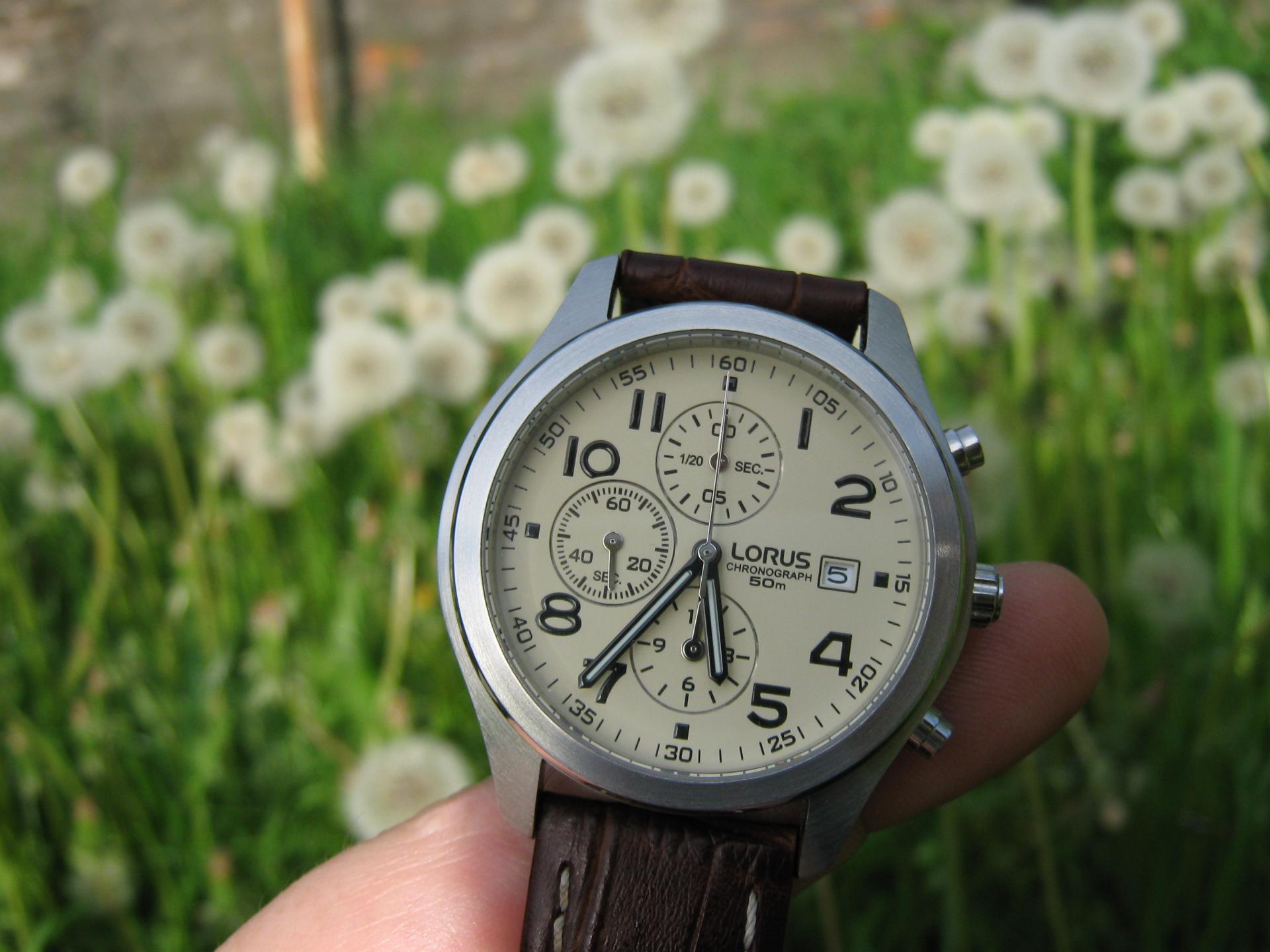 Naziv: IMG_3315.jpg, pregleda: 223, veličina: 204,7 KB