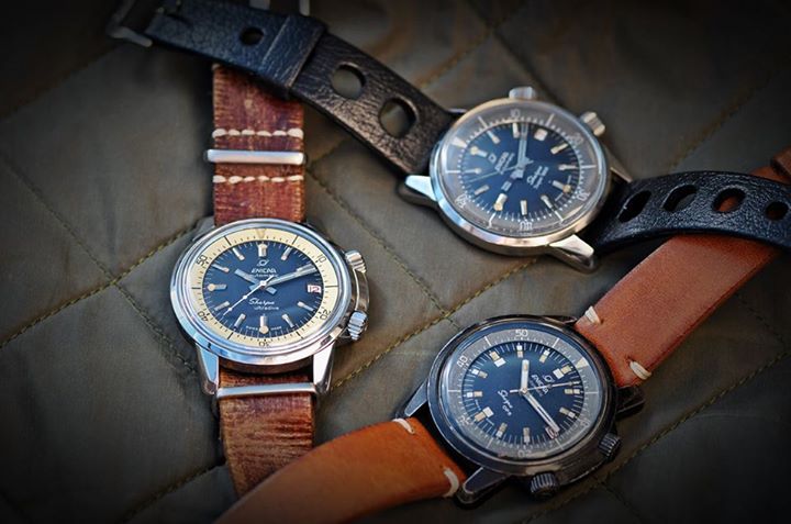 Naziv: 11109674_888768941180108_6969235868180859633_n.jpg, pregleda: 334, veličina: 54,4 KB