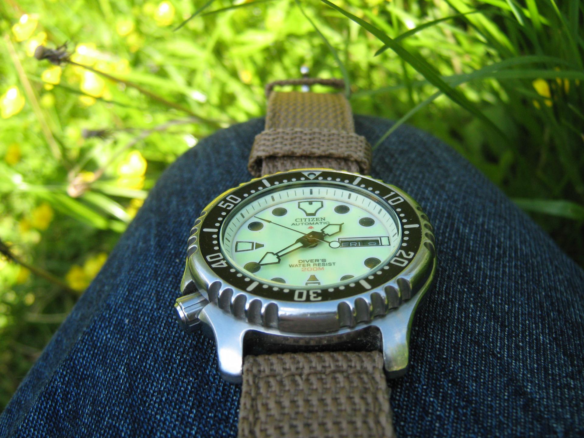 Naziv: IMG_3343.jpg, pregleda: 229, veličina: 313,9 KB