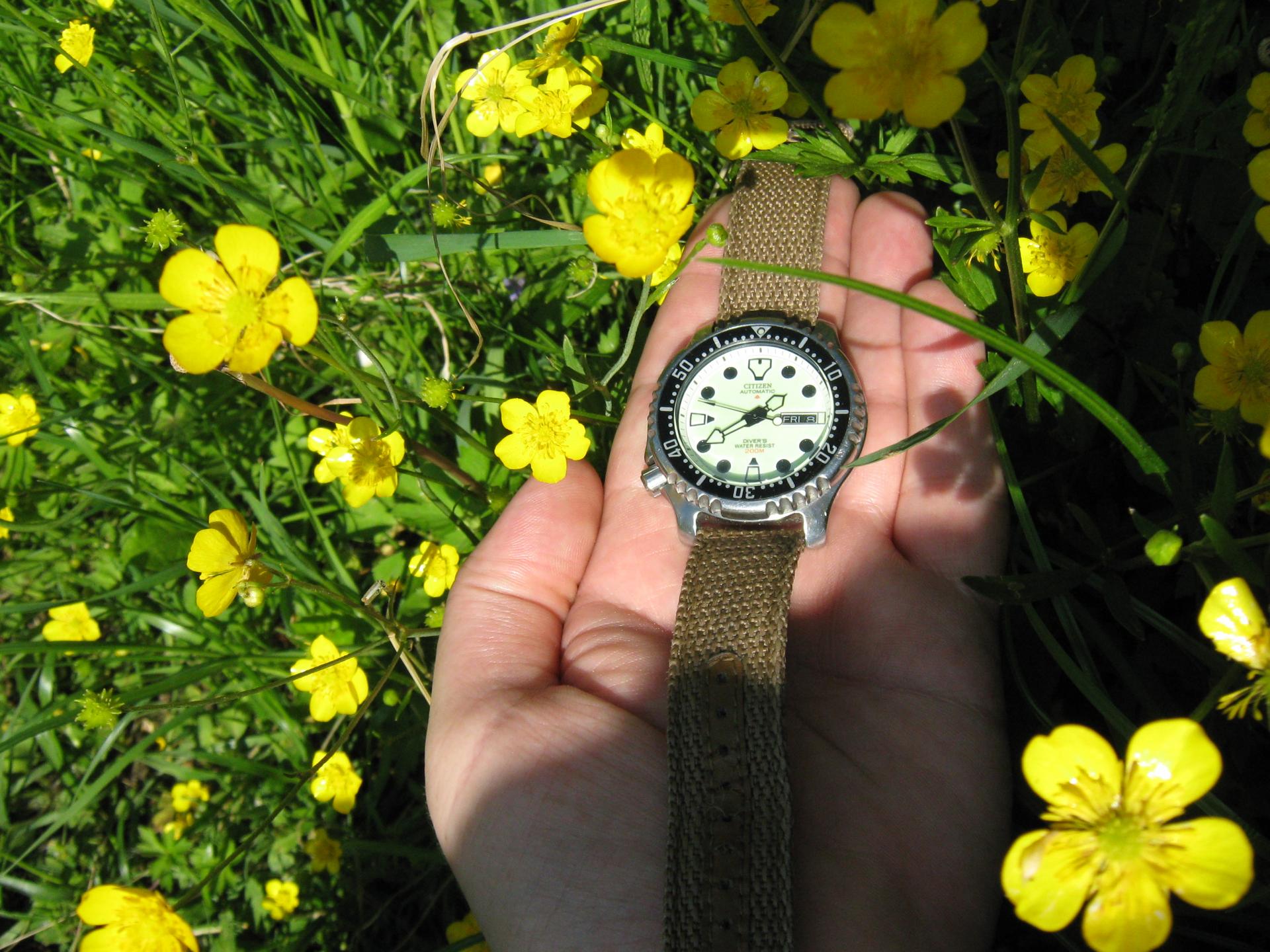 Naziv: IMG_3348.jpg, pregleda: 225, veličina: 355,0 KB