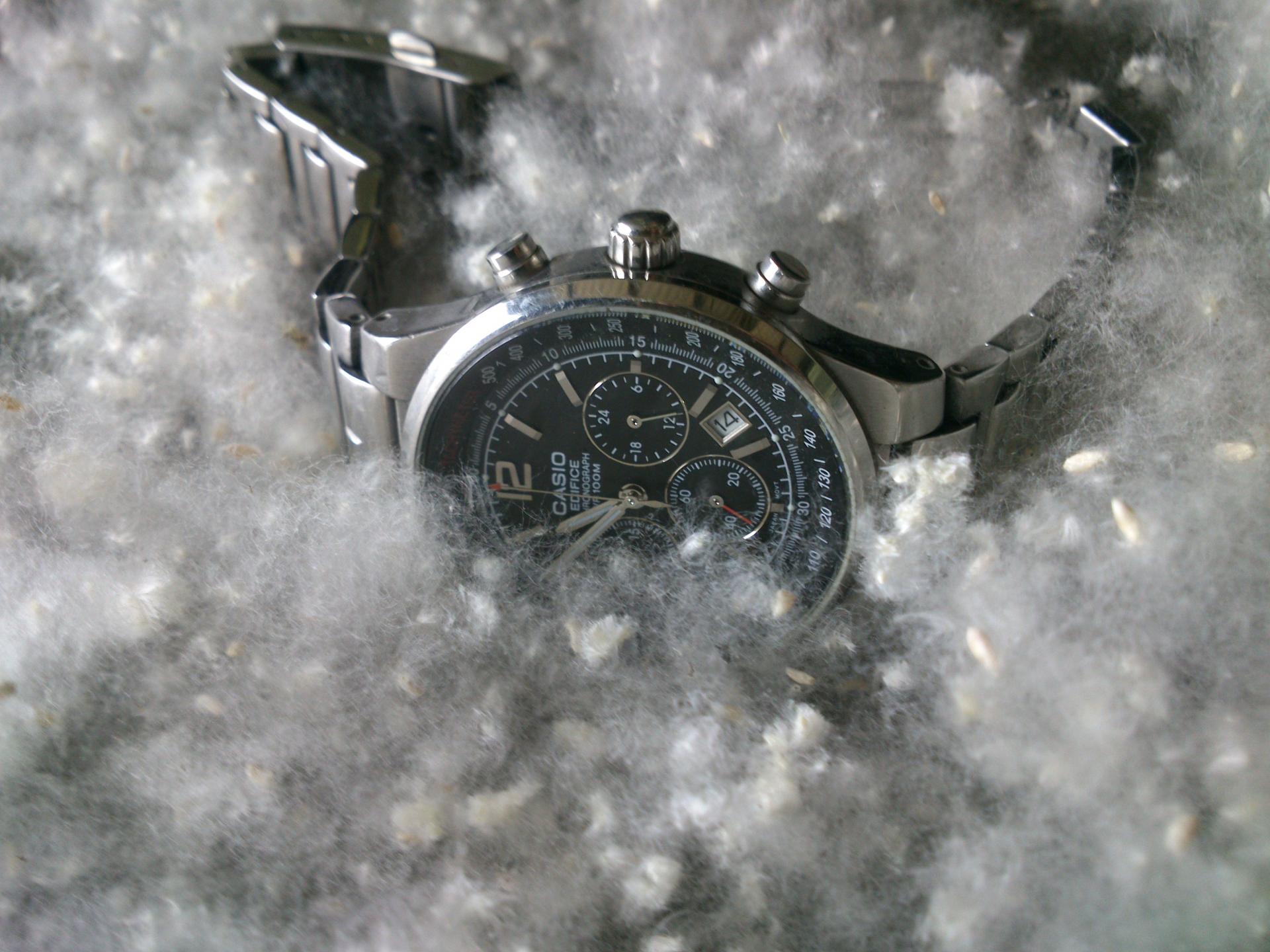 Naziv: DSC_2554.jpg, pregleda: 225, veličina: 261,1 KB