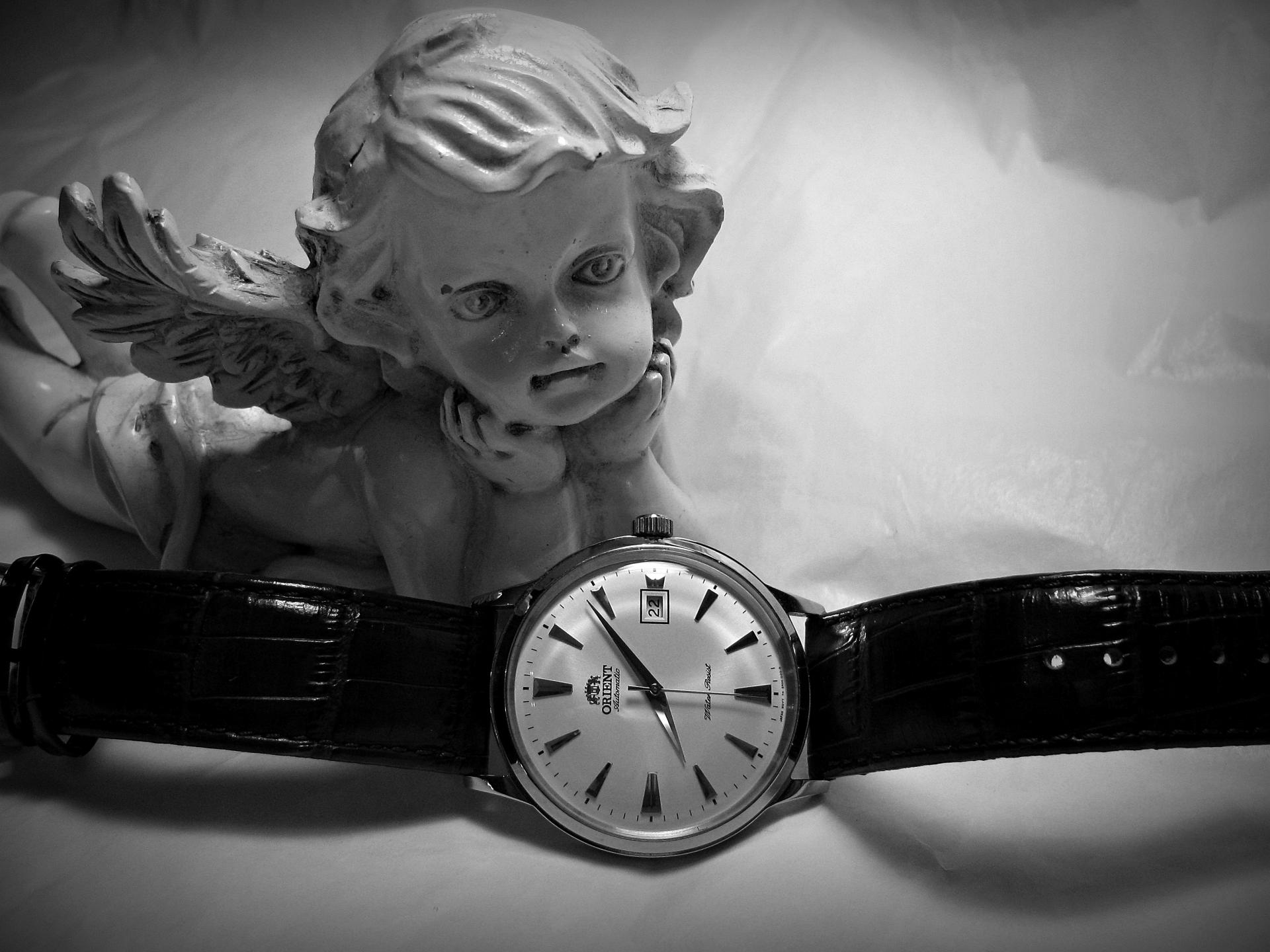 Naziv: IMG_1715 ....jpg, pregleda: 197, veličina: 240,3 KB