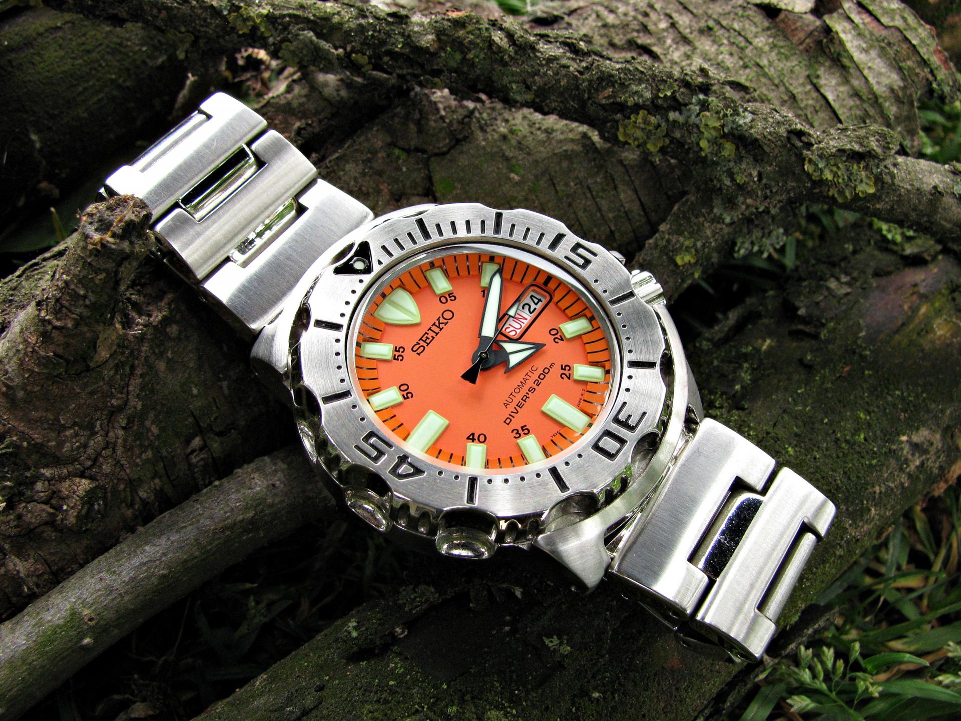 Naziv: IMG_1720 ....jpg, pregleda: 223, veličina: 444,5 KB