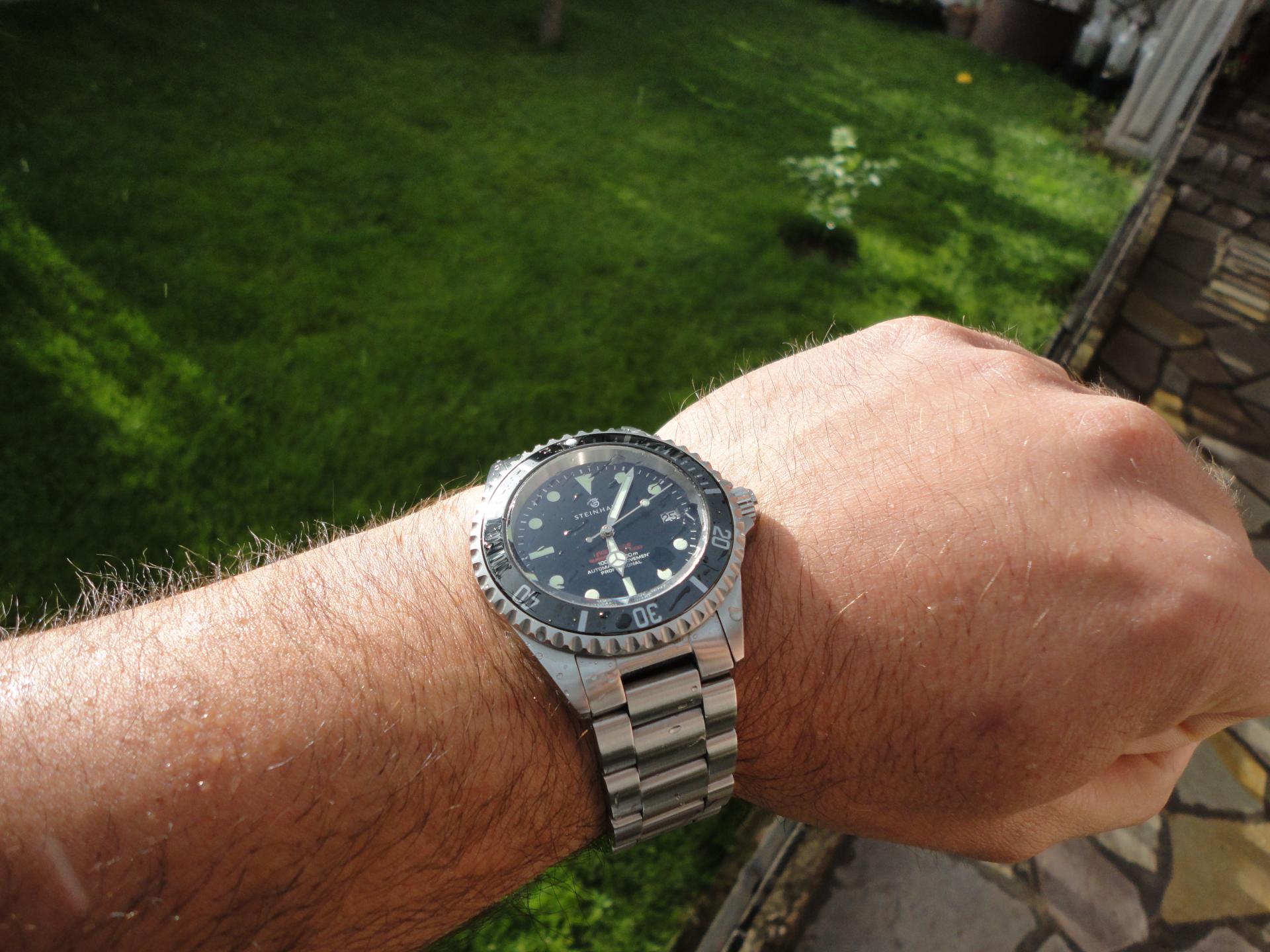 Naziv: DSC04628.jpg, pregleda: 241, veličina: 275,6 KB