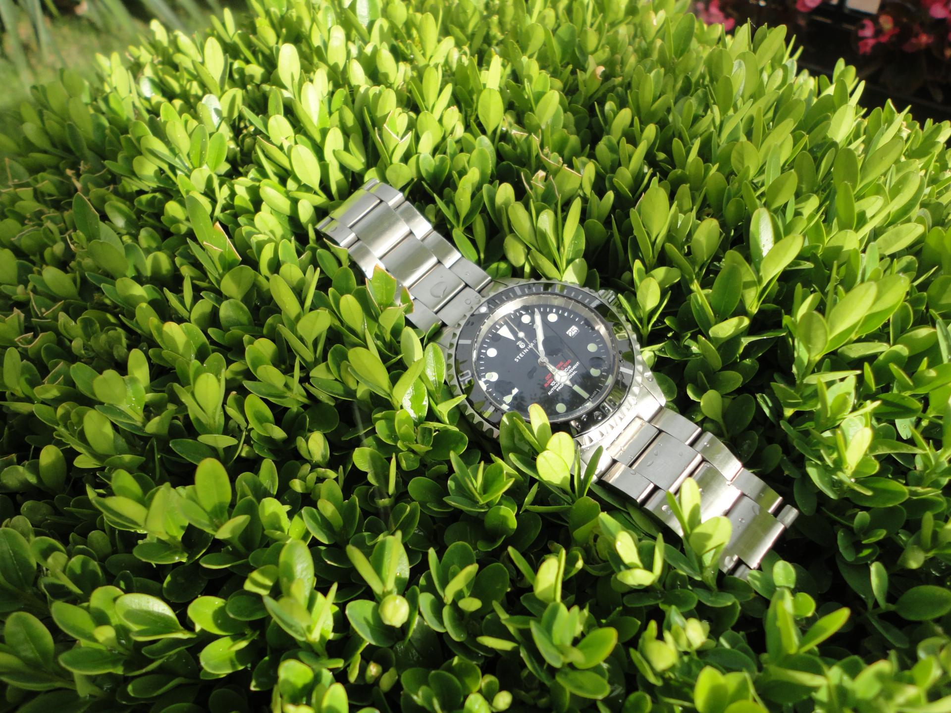 Naziv: DSC04629.jpg, pregleda: 246, veličina: 403,2 KB