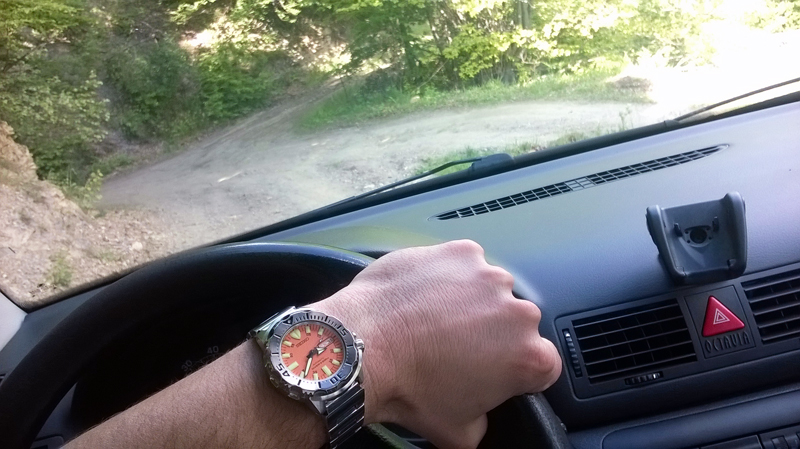 Naziv: WP_20150531_007.jpg, pregleda: 211, veličina: 311,9 KB