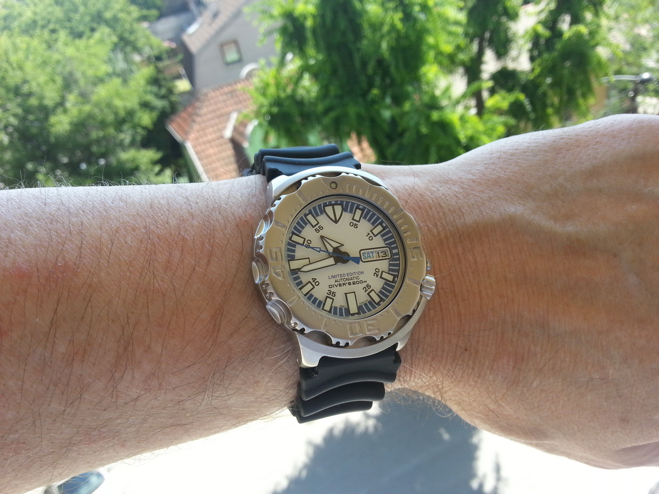 Naziv: 20150613_104058.jpg, pregleda: 196, veličina: 395,1 KB