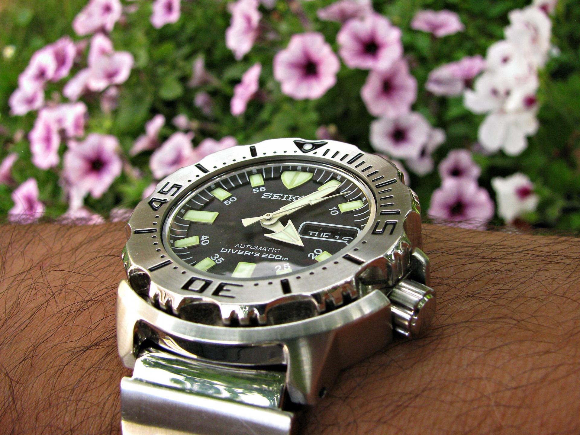 Naziv: IMG_1901 ....jpg, pregleda: 190, veličina: 385,9 KB