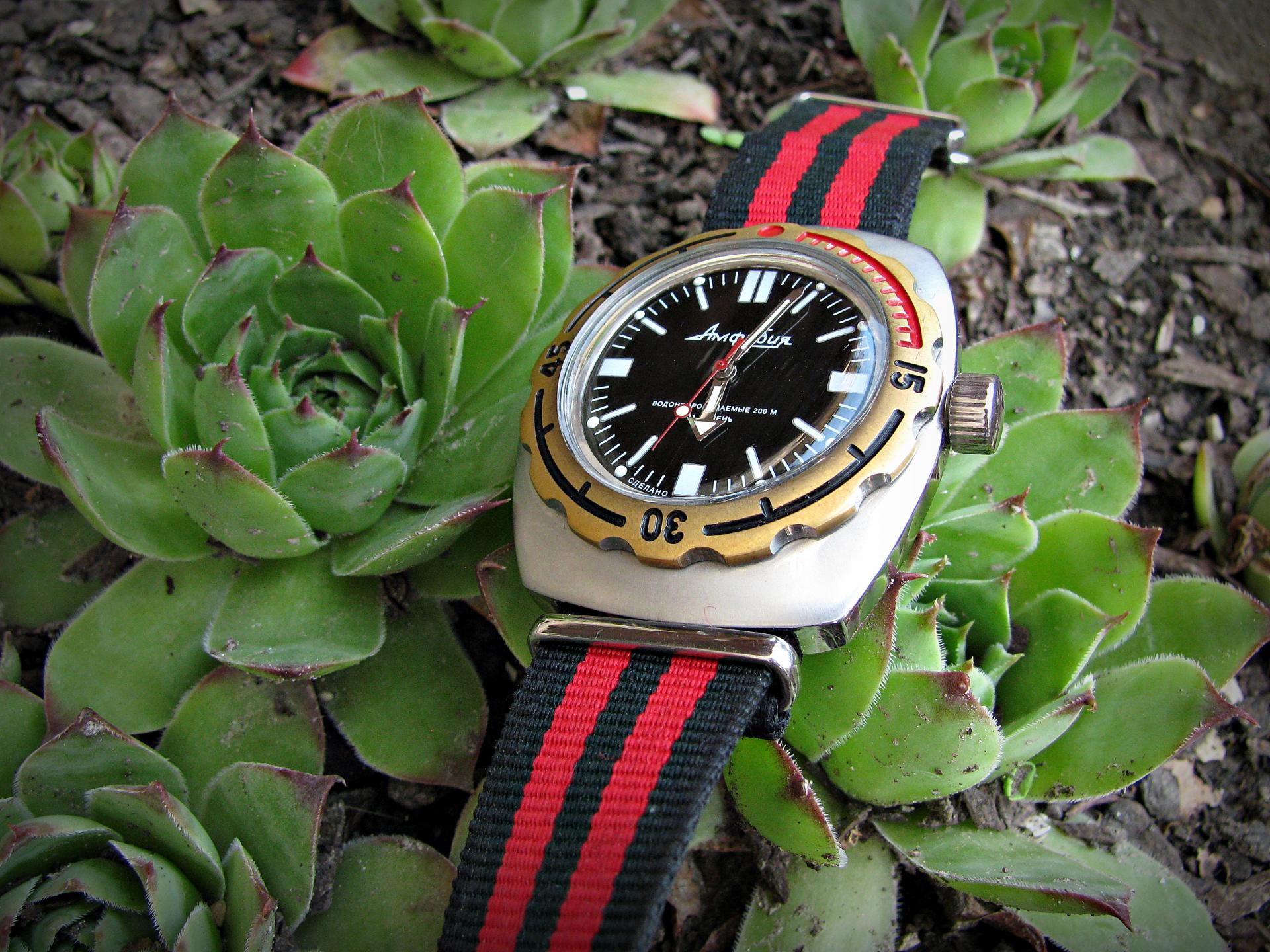 Naziv: IMG_1924 ....jpg, pregleda: 199, veličina: 410,0 KB