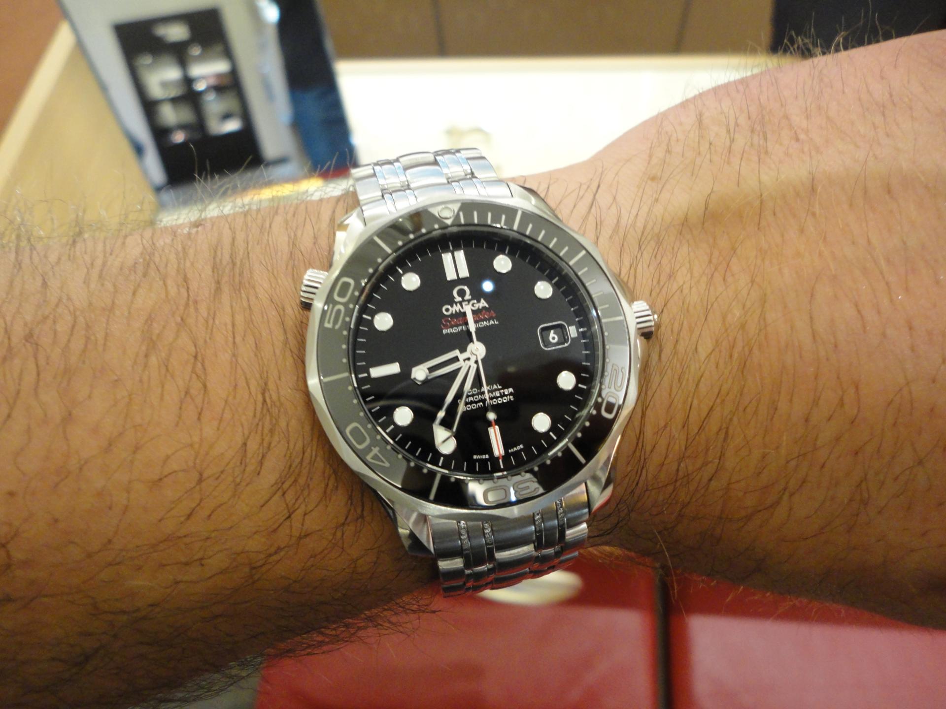 Naziv: DSC04663.jpg, pregleda: 191, veličina: 241,1 KB