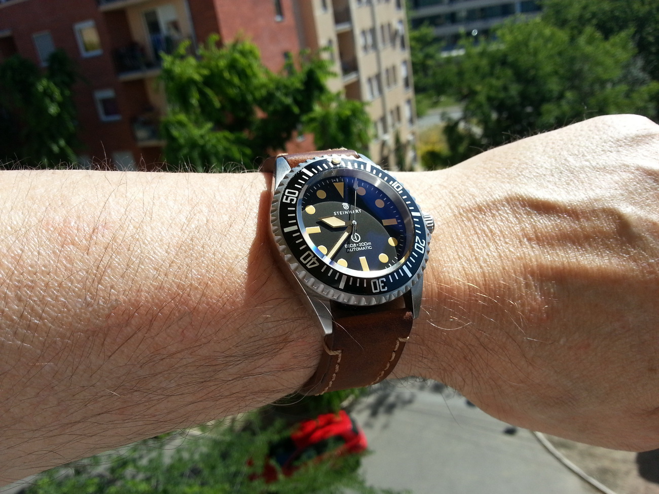 Naziv: 20150622_093801.jpg, pregleda: 191, veličina: 436,5 KB