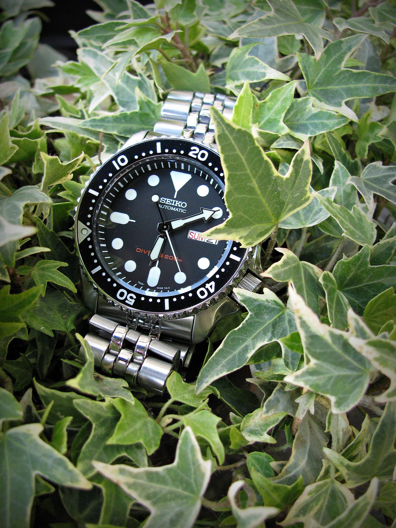 Naziv: IMG_1961 ....jpg, pregleda: 206, veličina: 504,4 KB